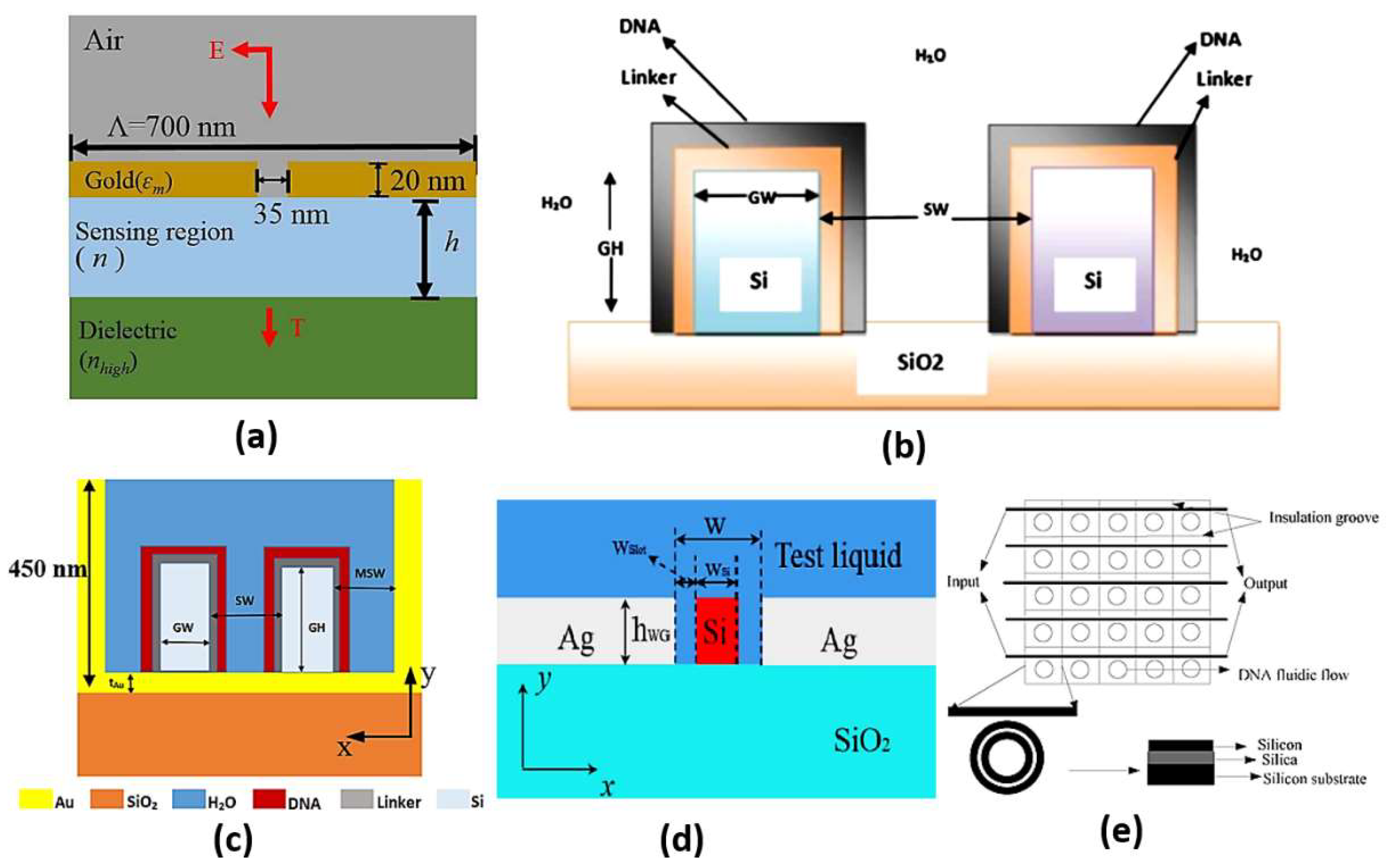 Biology 12 00232 g011