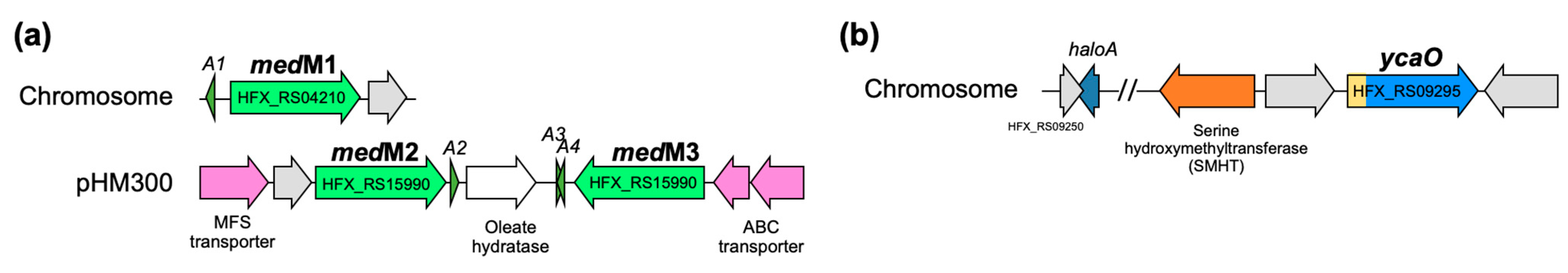Biology 12 00236 g001