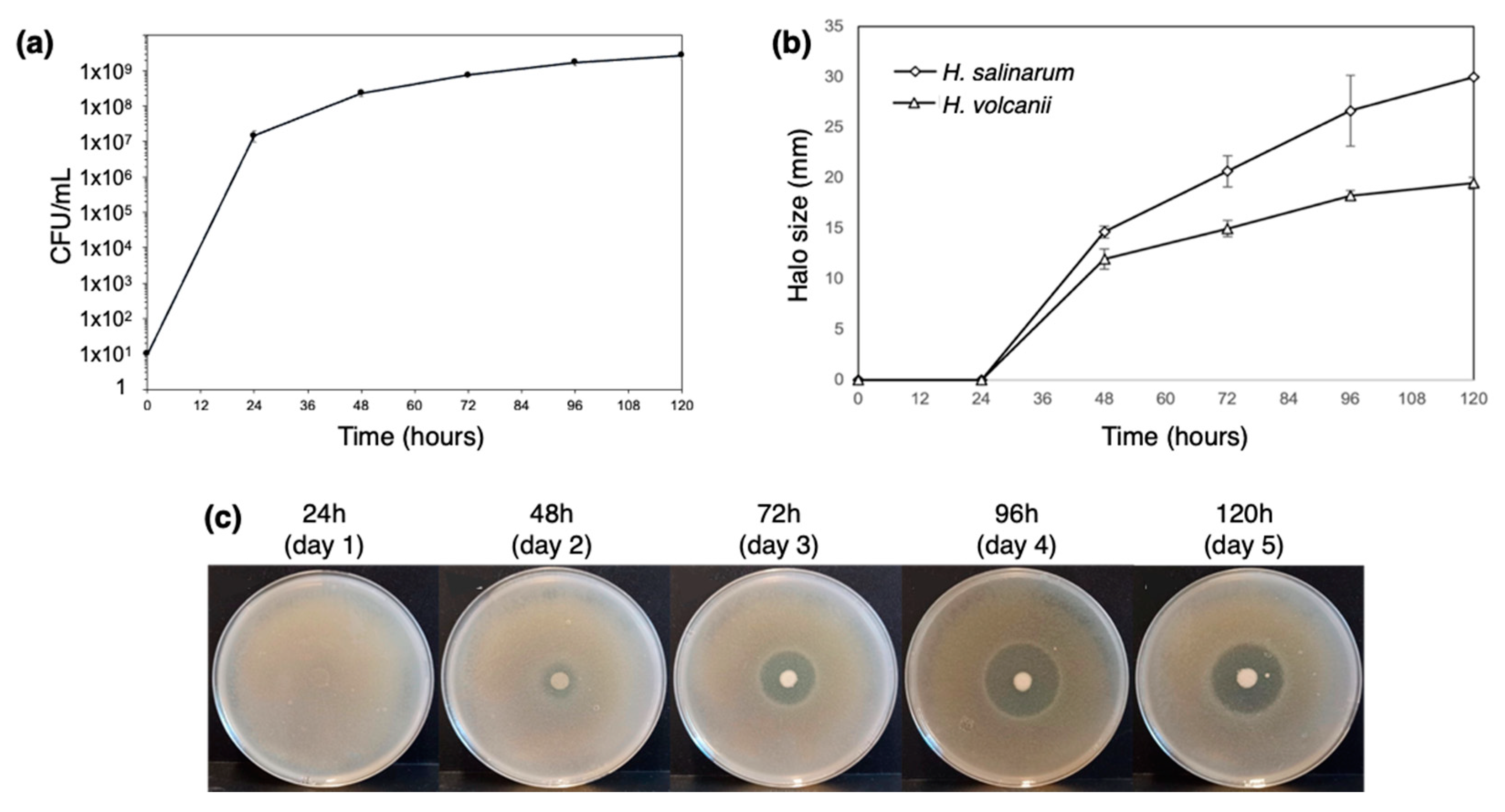 Biology 12 00236 g002