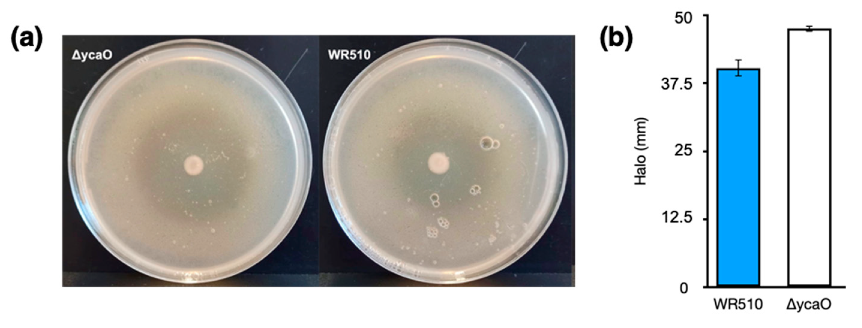 Biology 12 00236 g004