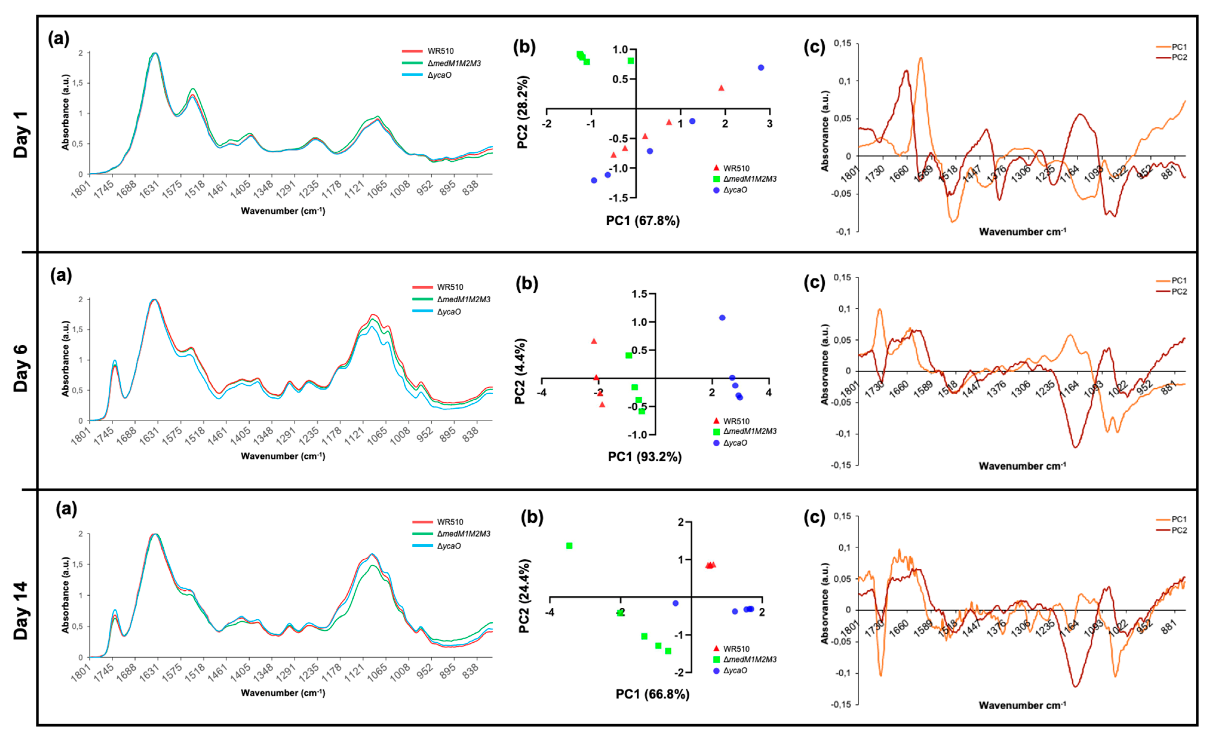 Biology 12 00236 g007