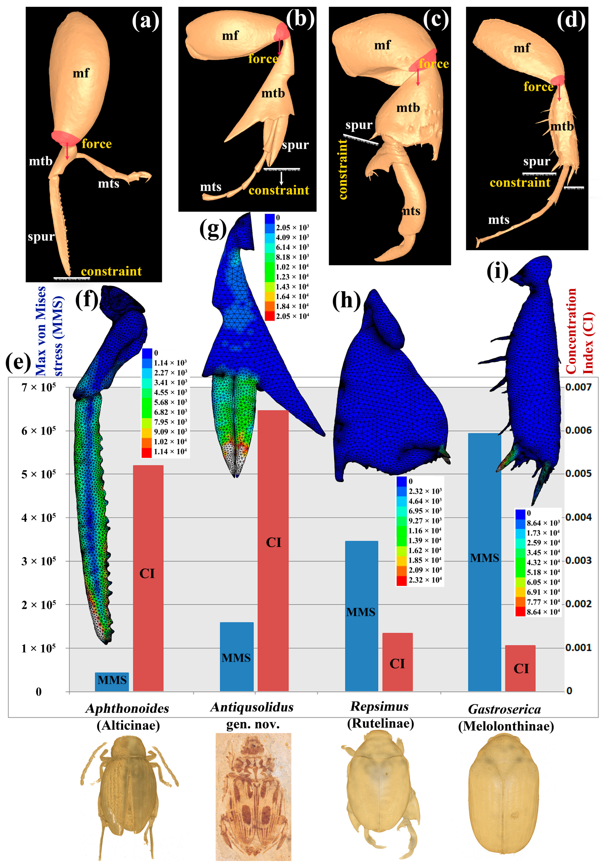 Biology 12 00237 g003
