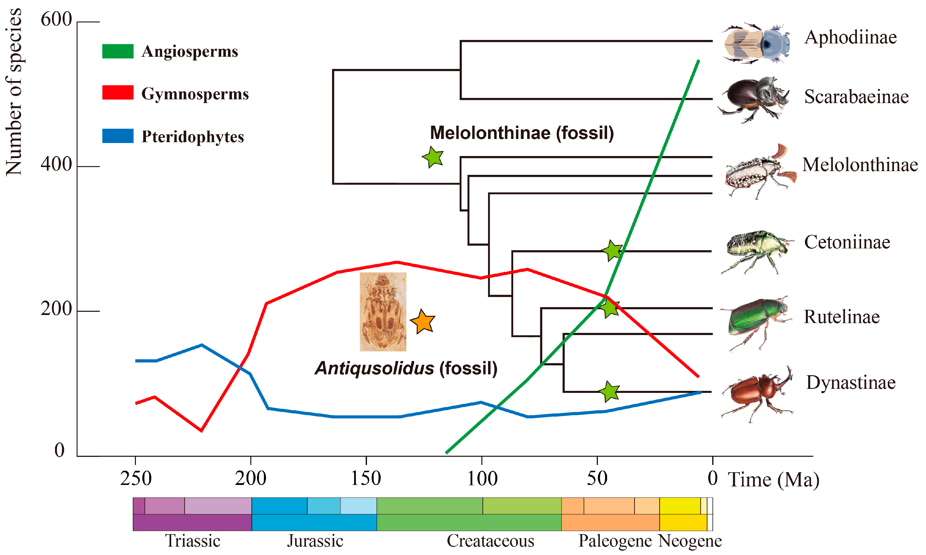 Biology 12 00237 g005