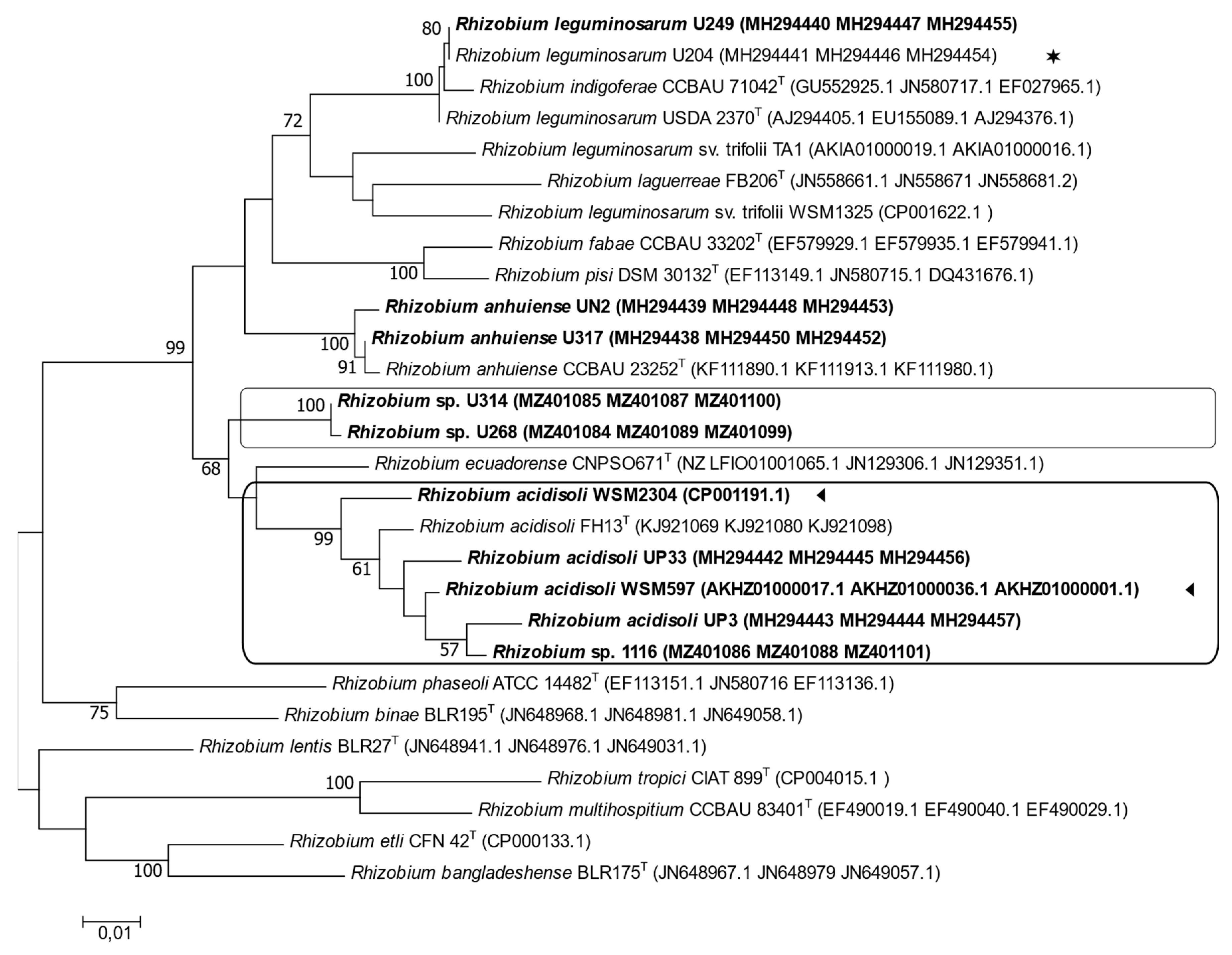 Biology 12 00243 g003