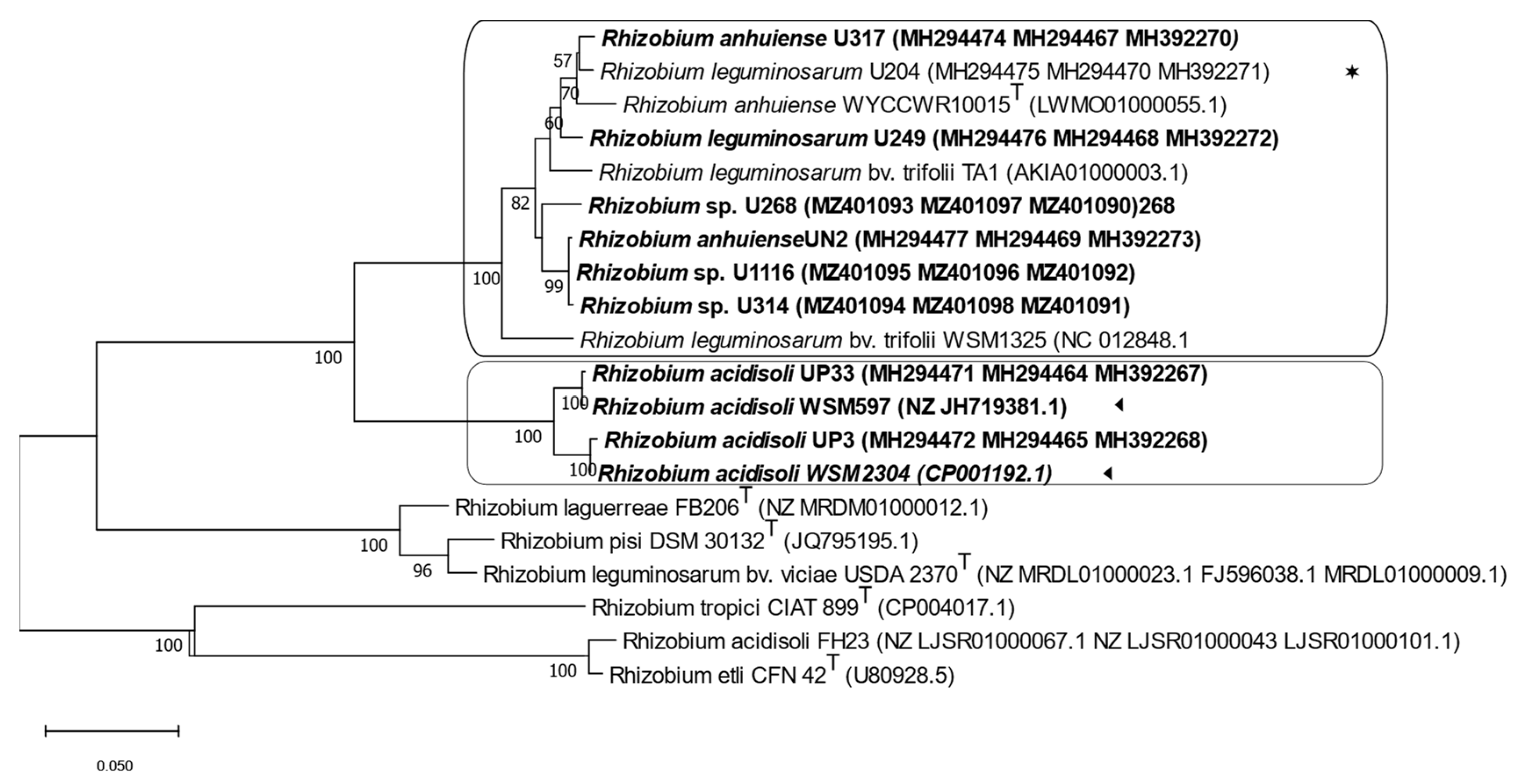 Biology 12 00243 g004