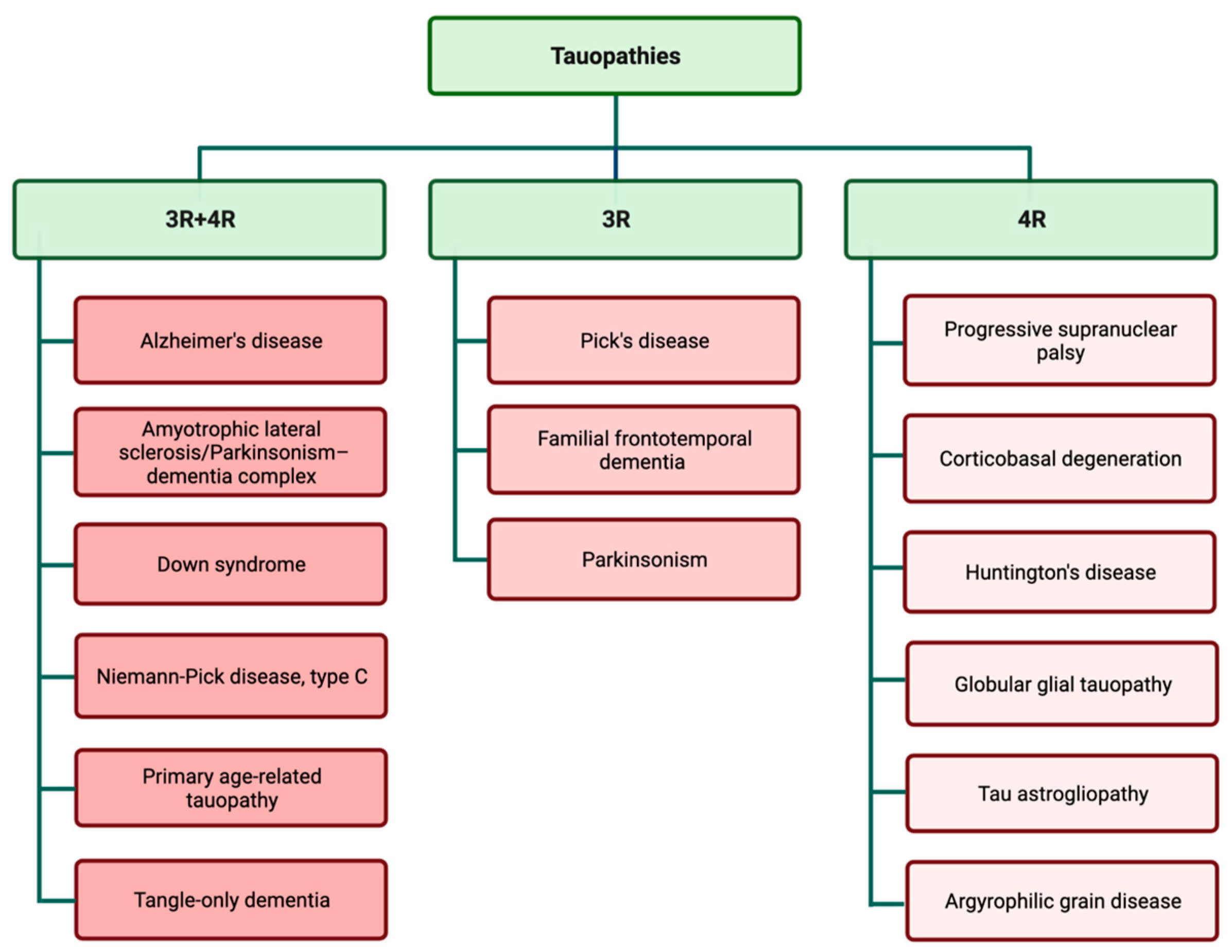 Biology 12 00244 g002