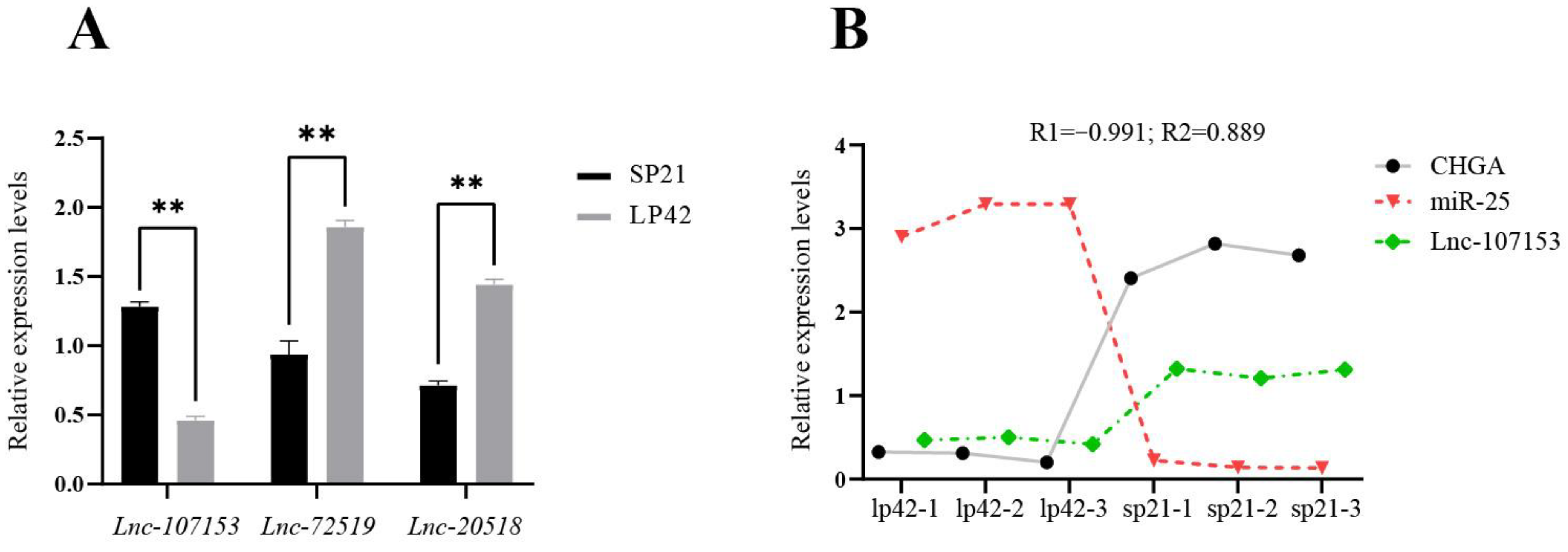 Biology 12 00250 g004