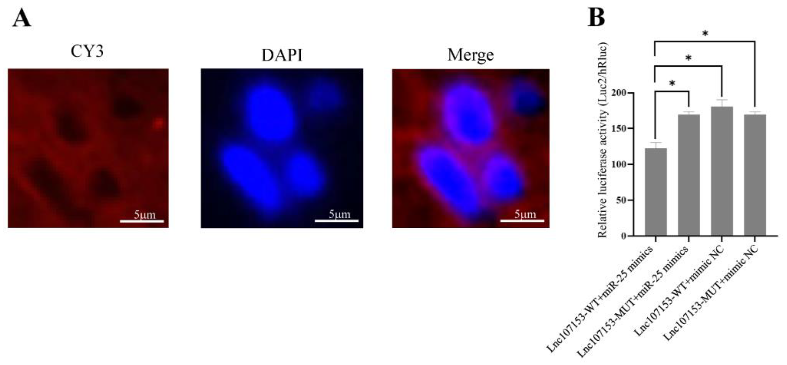 Biology 12 00250 g005