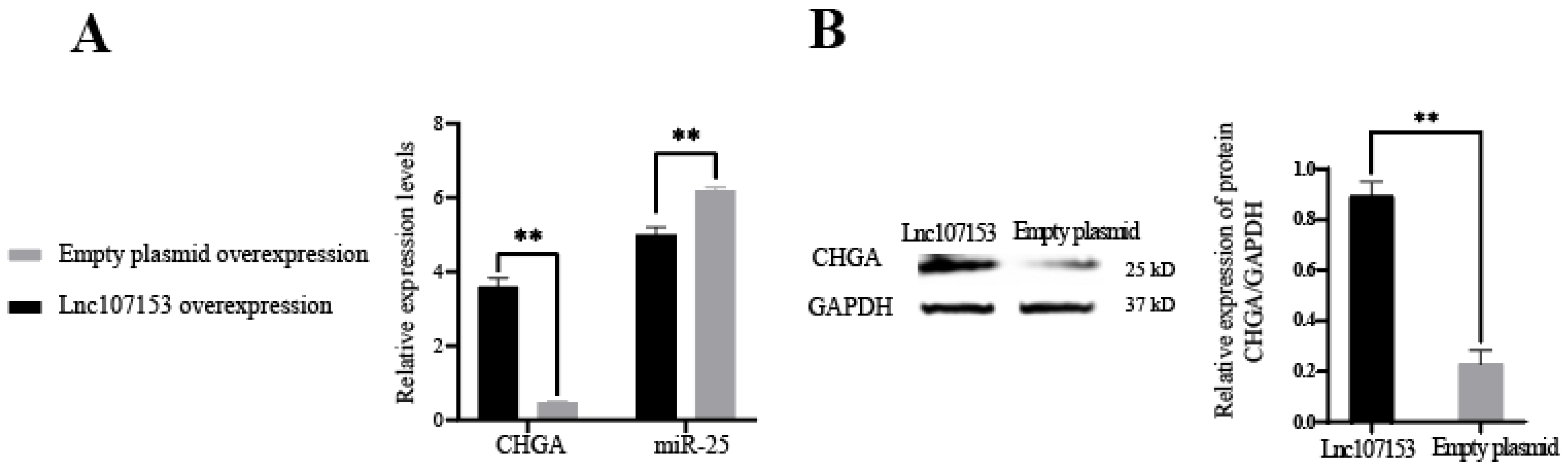 Biology 12 00250 g006