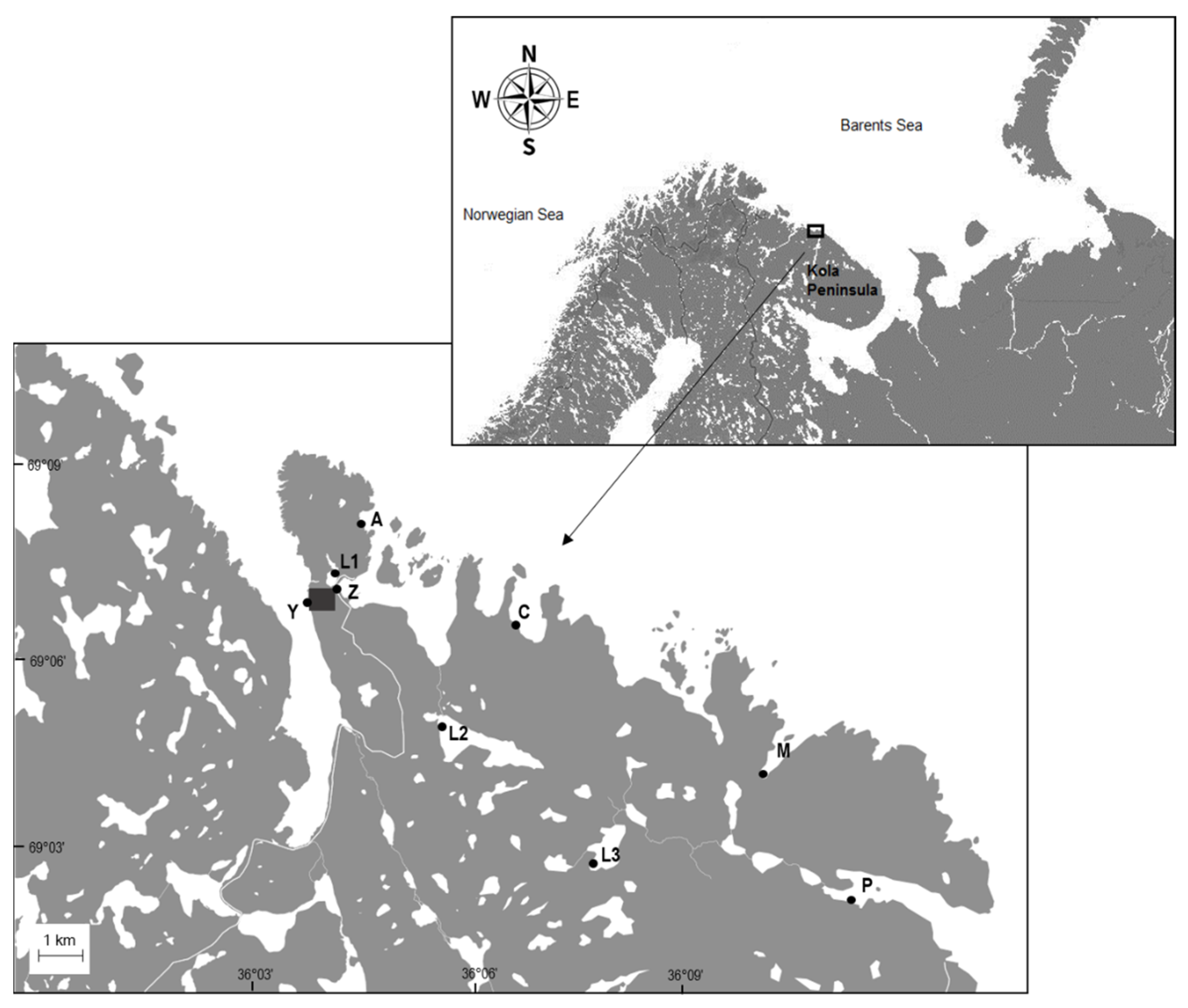 Biology 12 00259 g001