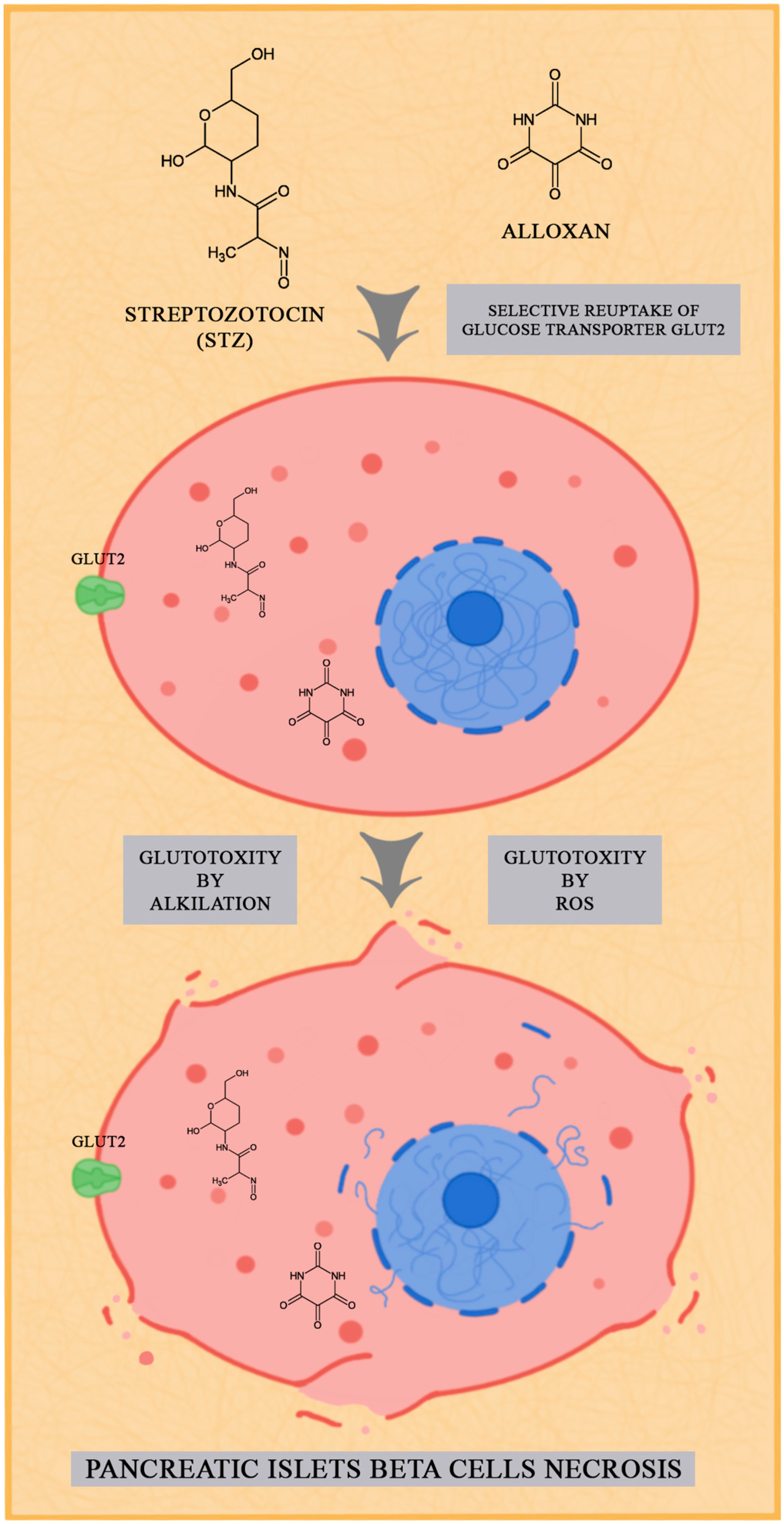Biology 12 00262 g001