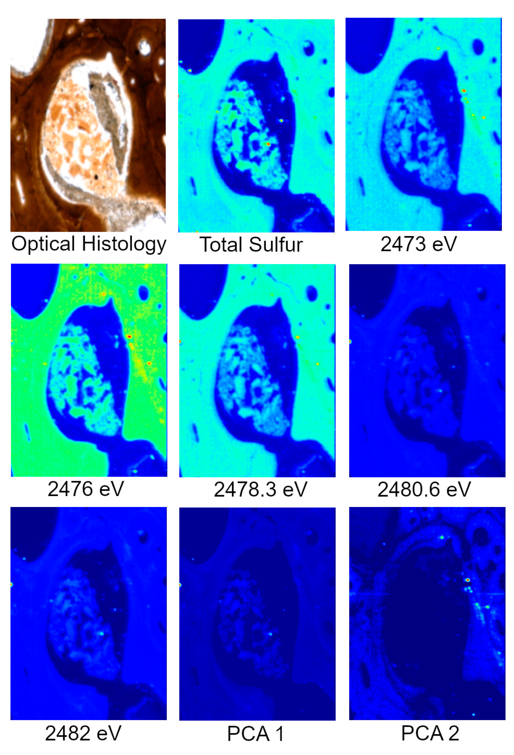 Biology 12 00264 g002