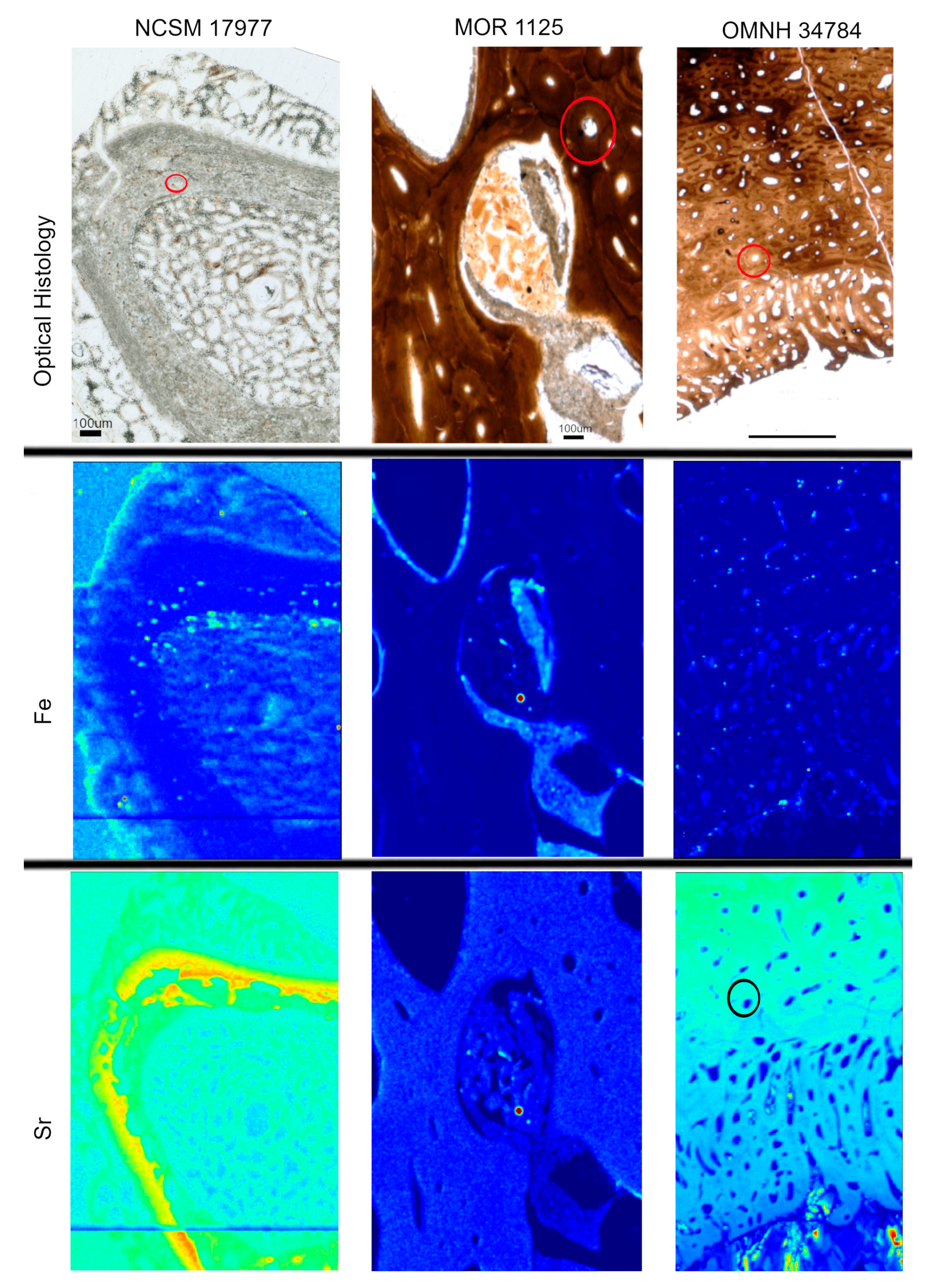 Biology 12 00264 g004