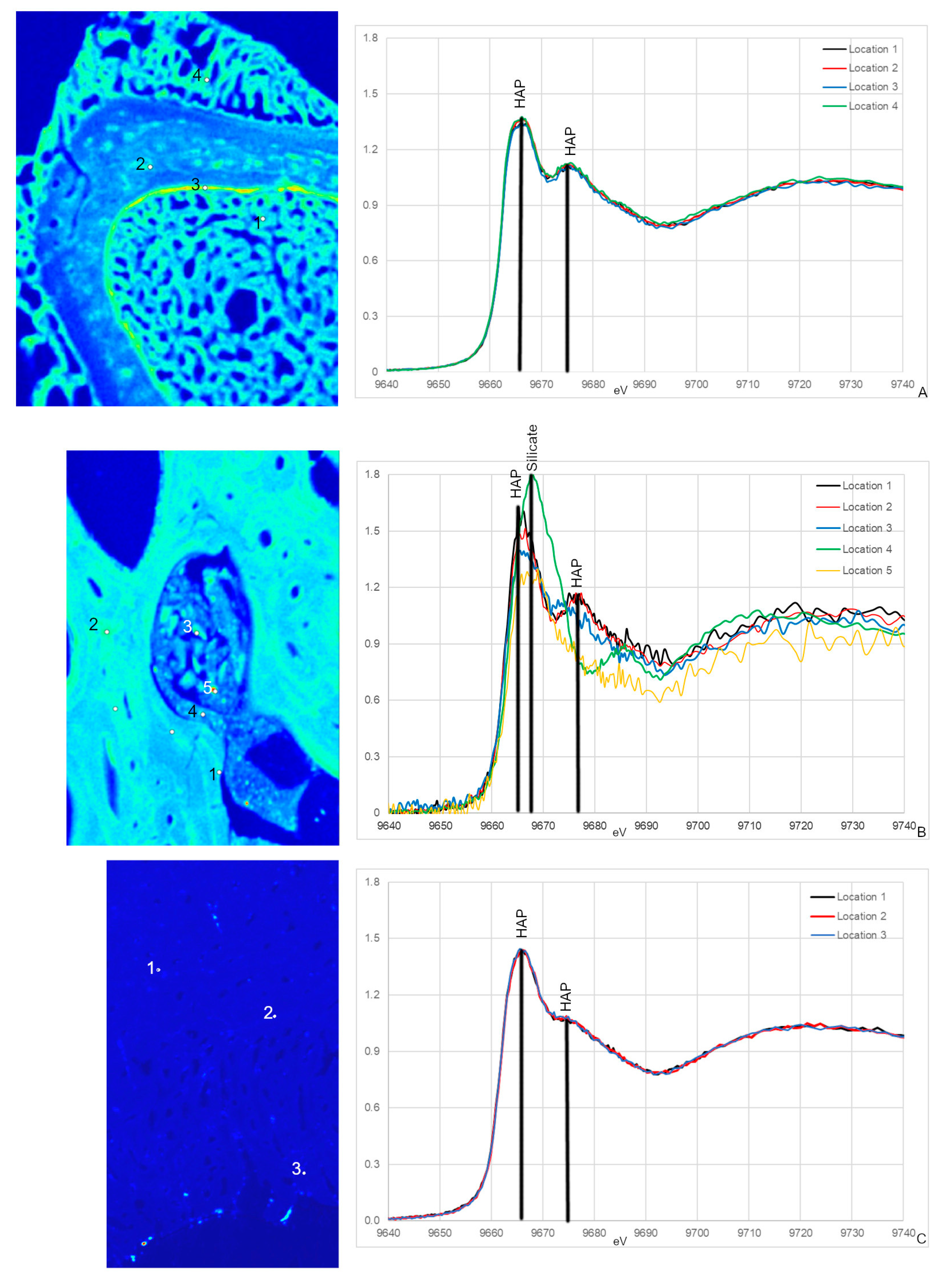 Biology 12 00264 g005