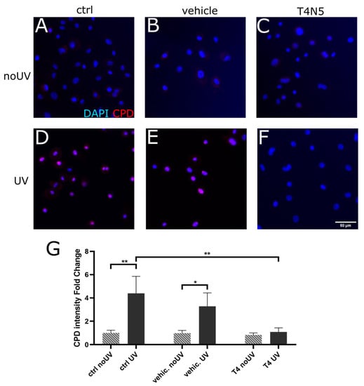 Biology 12 00265 g001