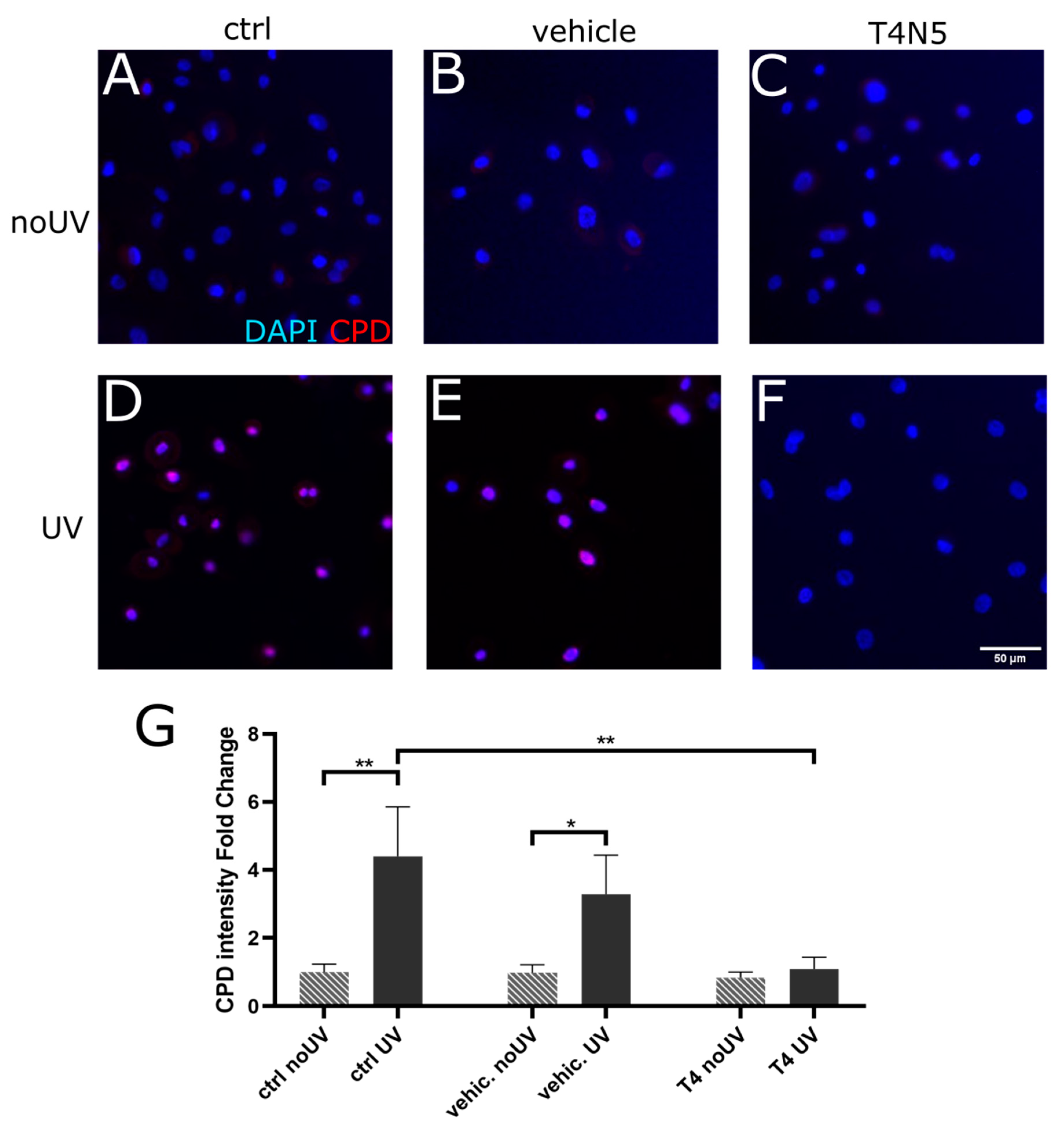 Biology 12 00265 g001