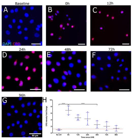 Biology 12 00265 g002