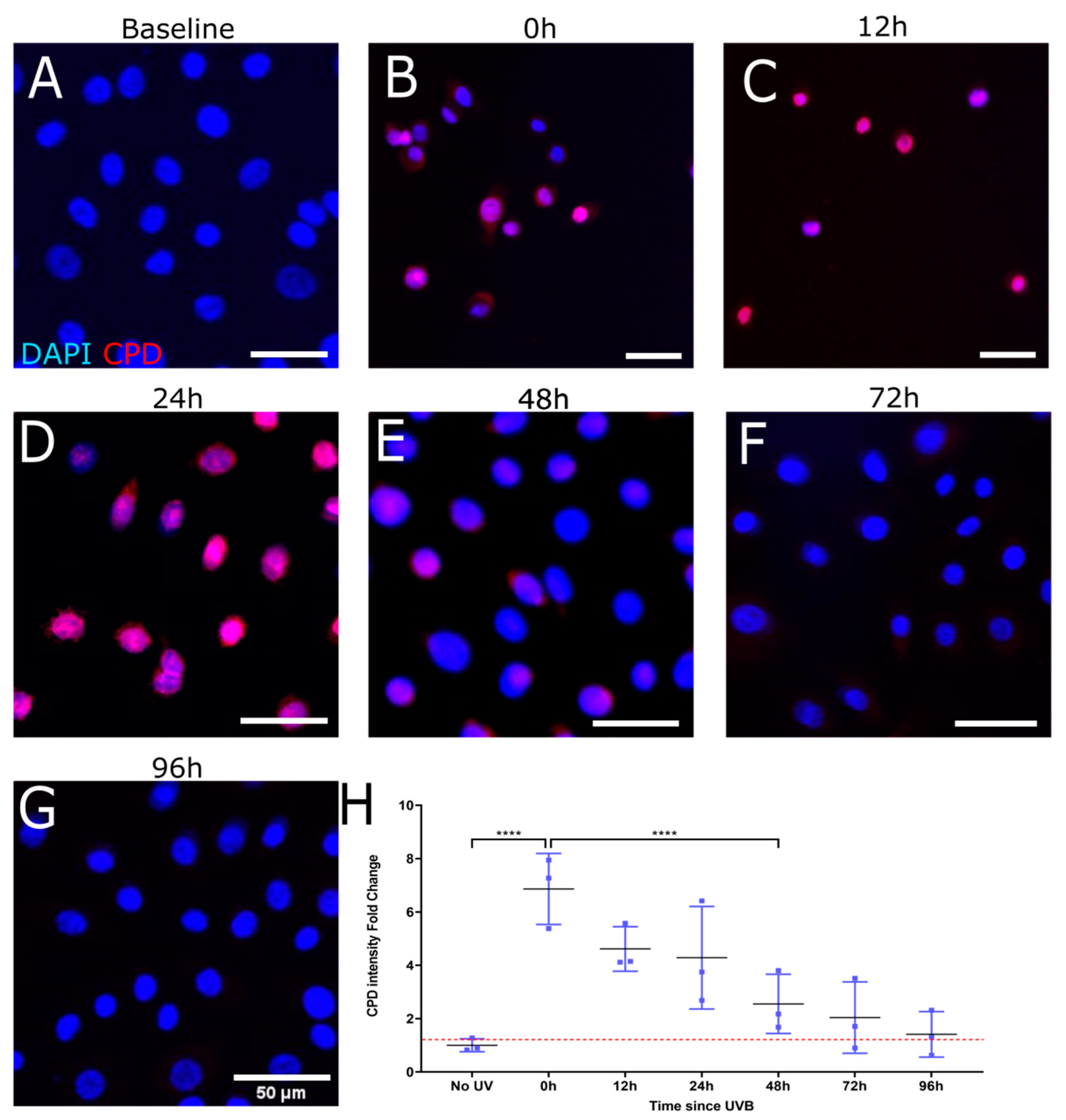 Biology 12 00265 g002