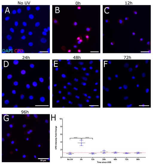 Biology 12 00265 g003