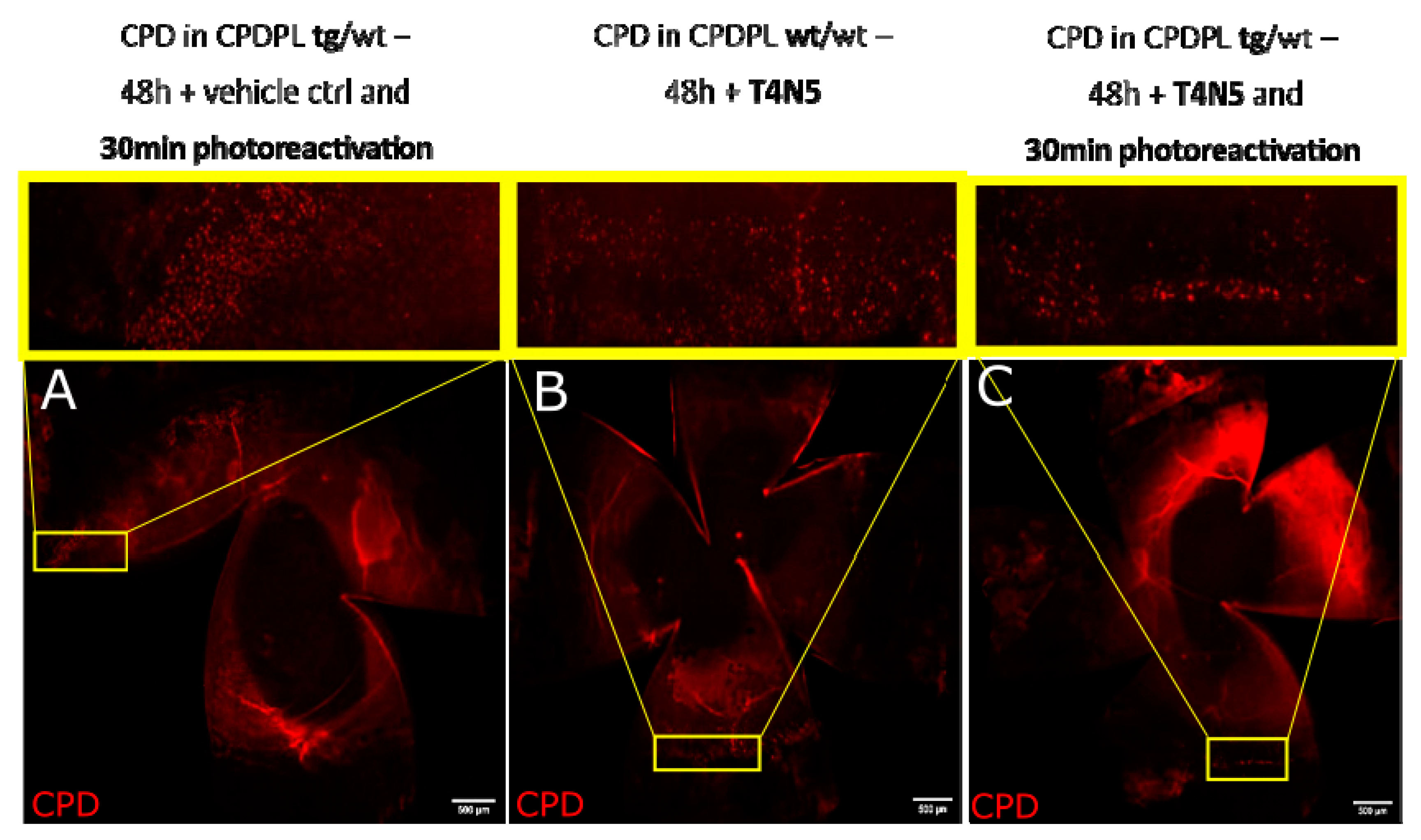 Biology 12 00265 g009