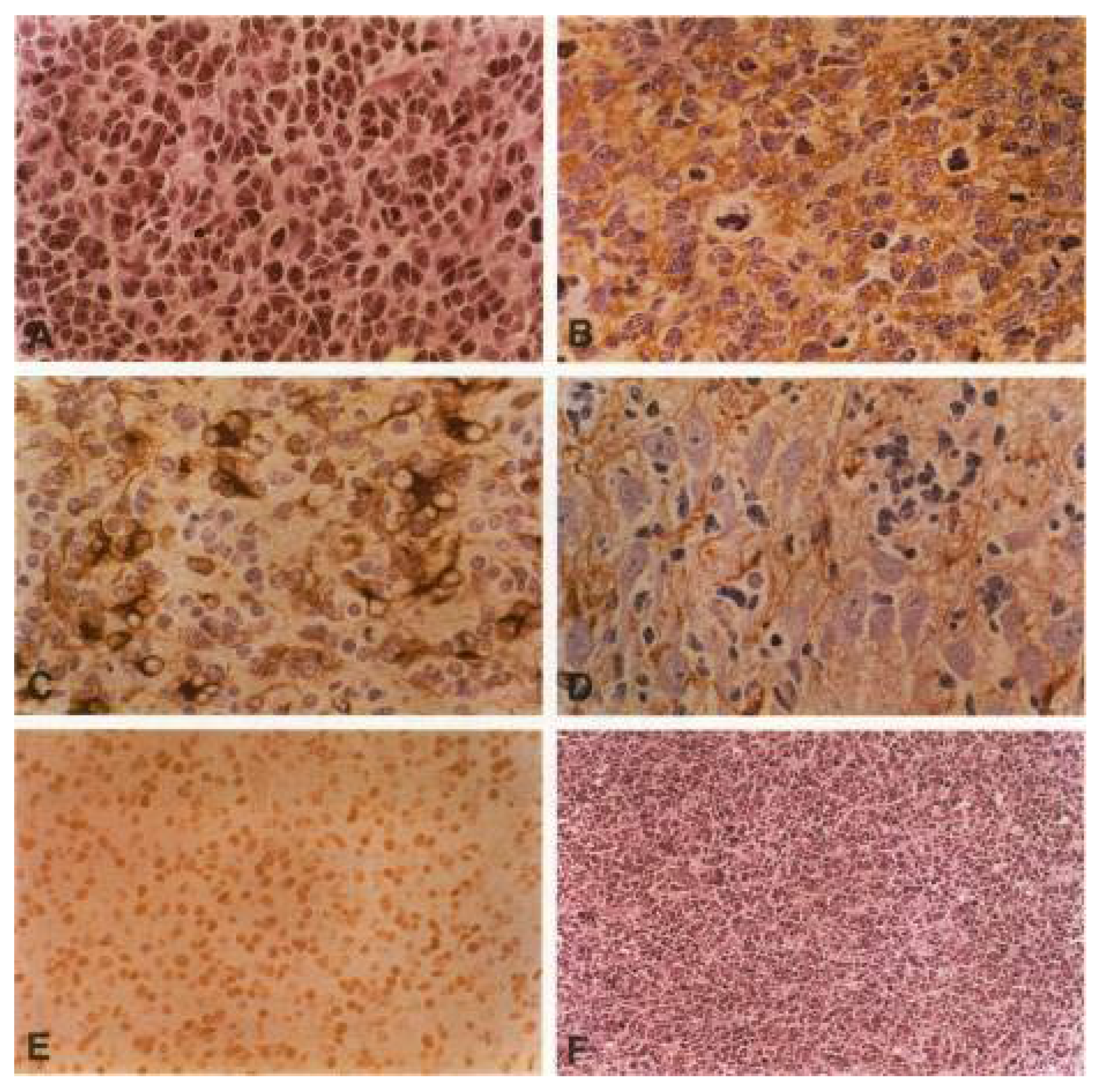 Biology 12 00267 g001