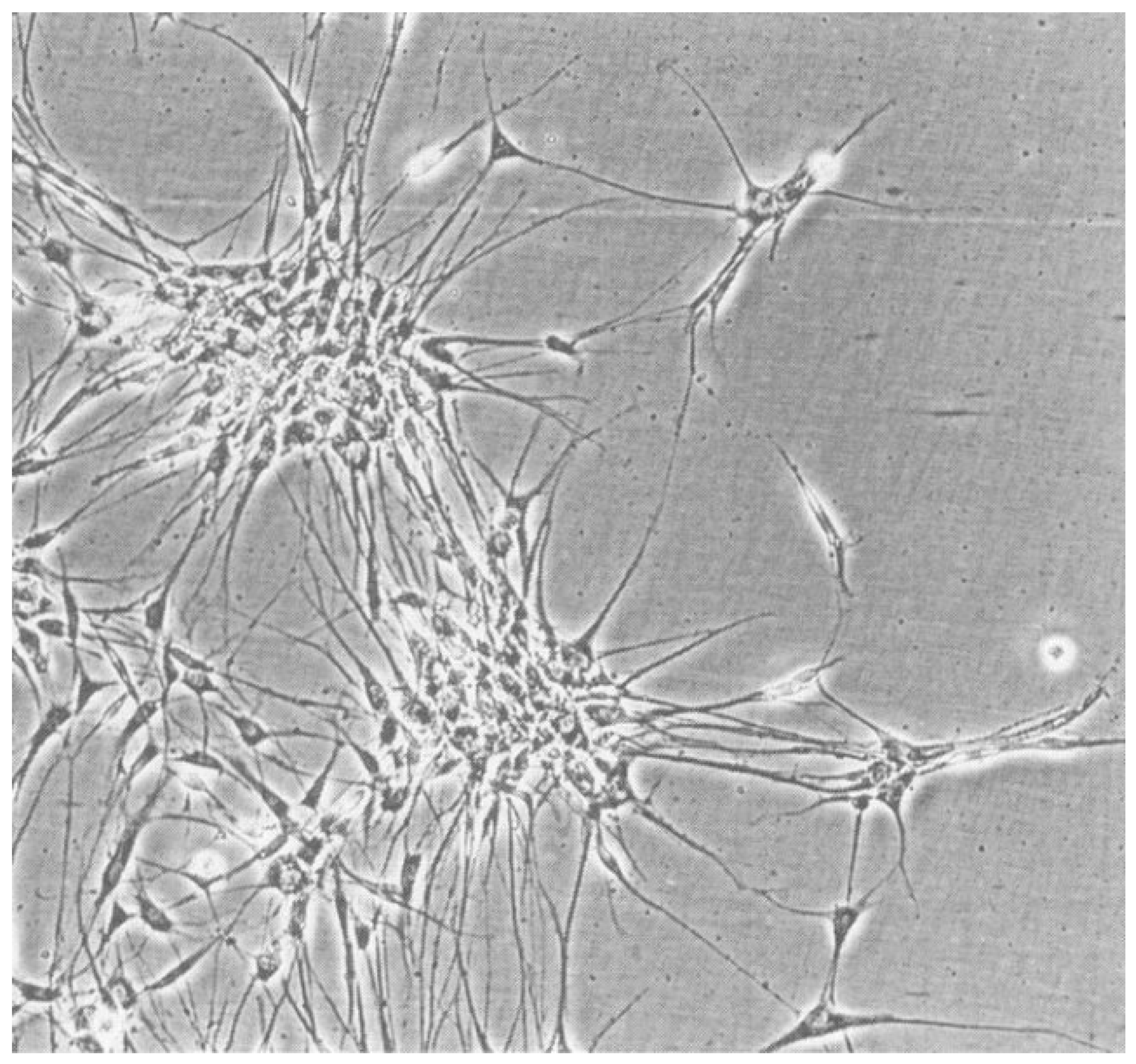 Biology 12 00267 g002