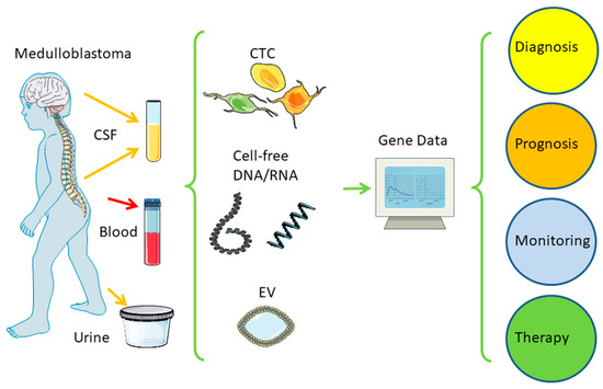 Biology 12 00267 g004 550