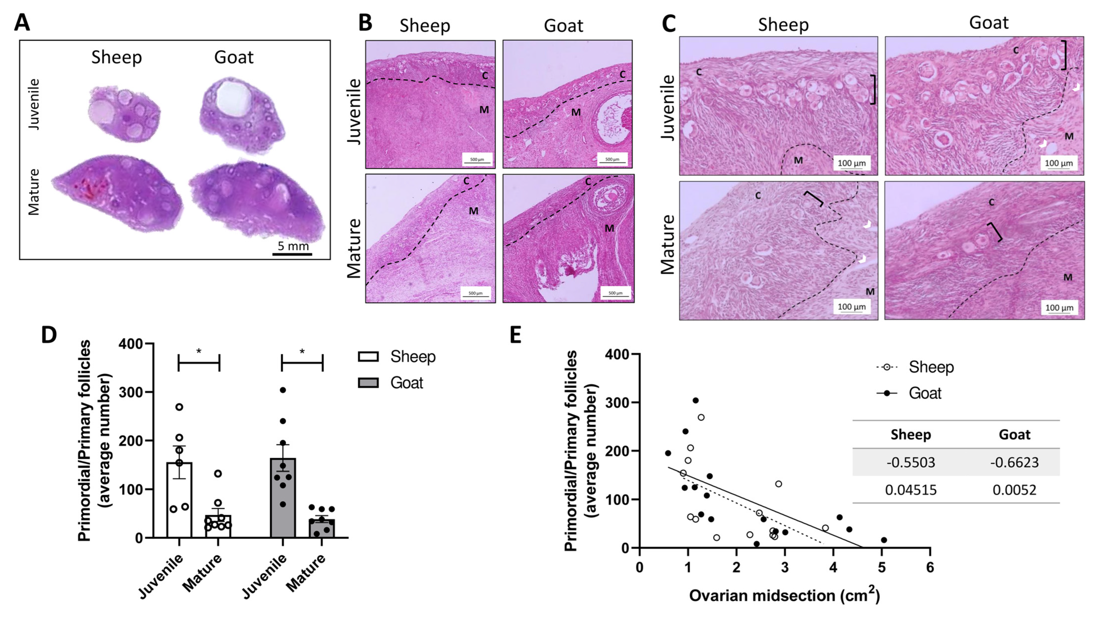 Biology 12 00270 g001