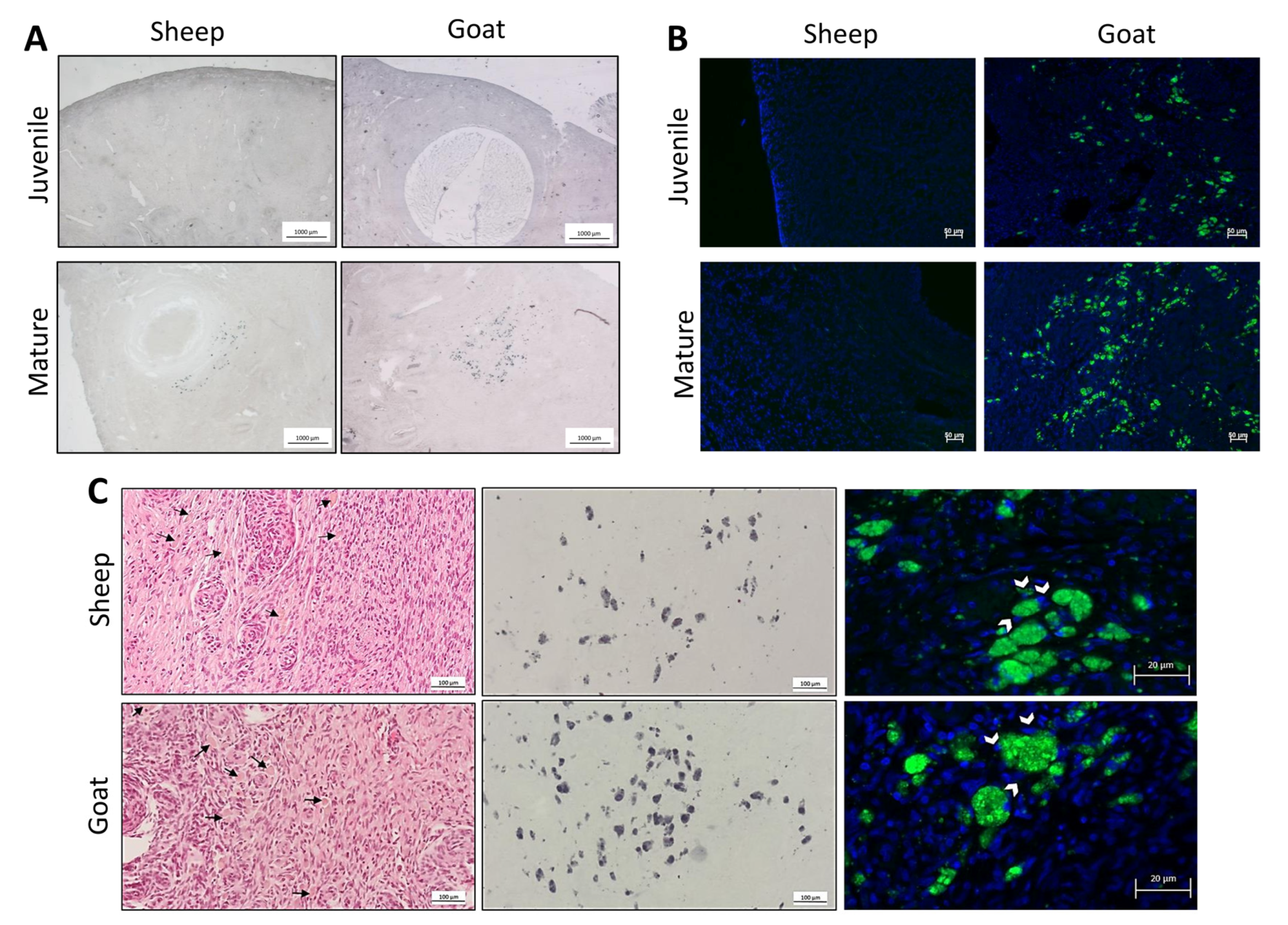 Biology 12 00270 g002