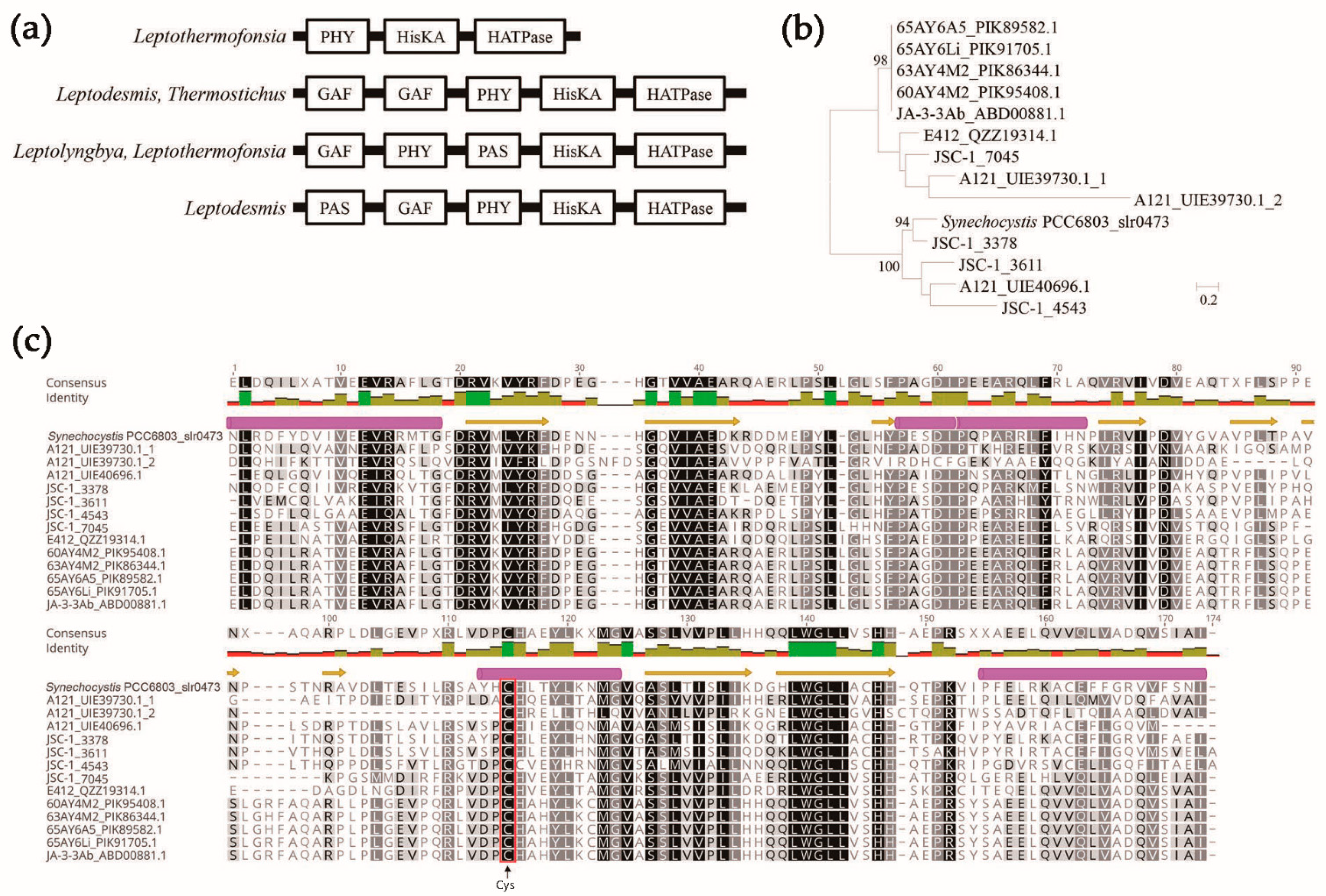 Biology 12 00271 g003