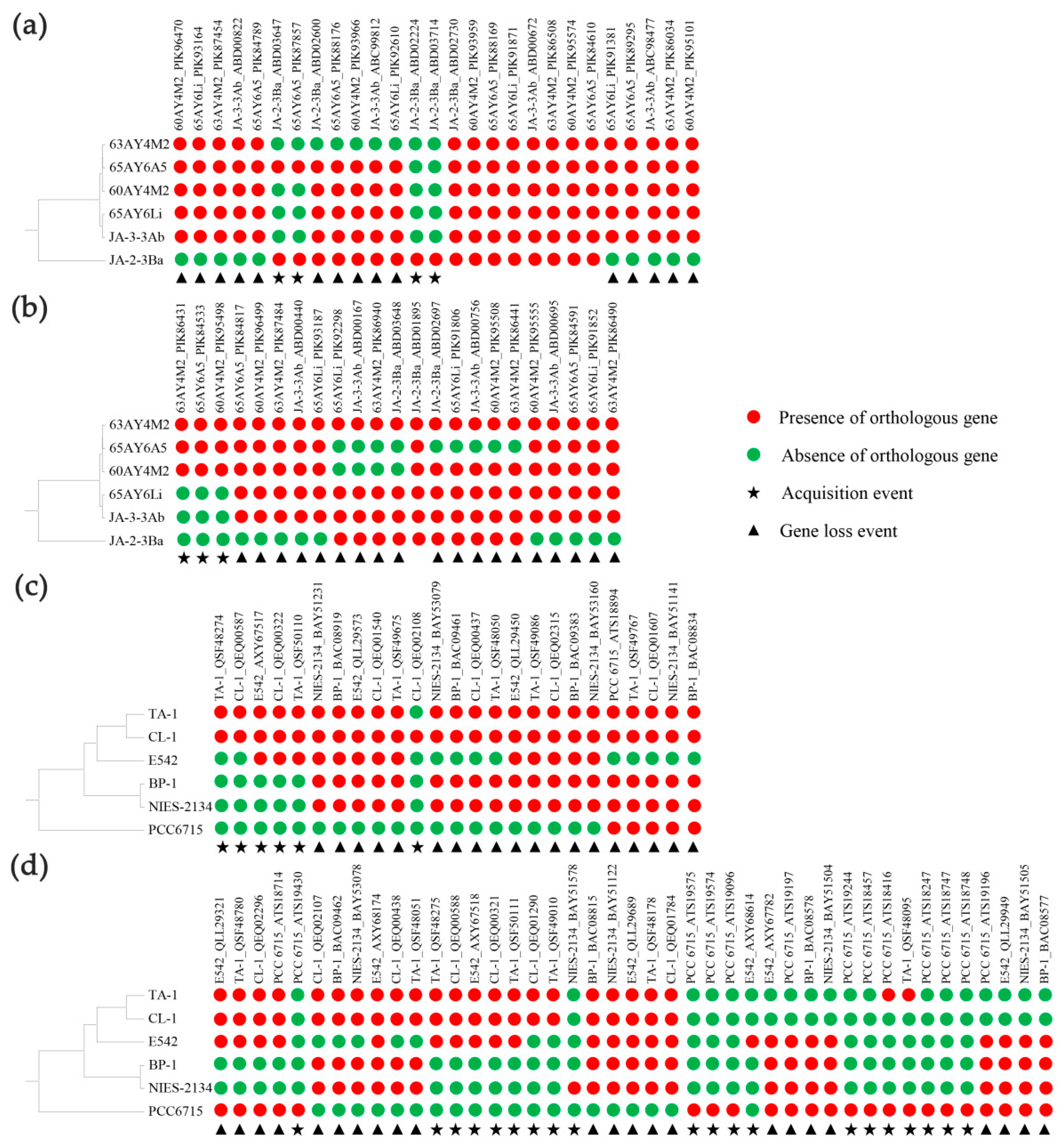 Biology 12 00271 g004