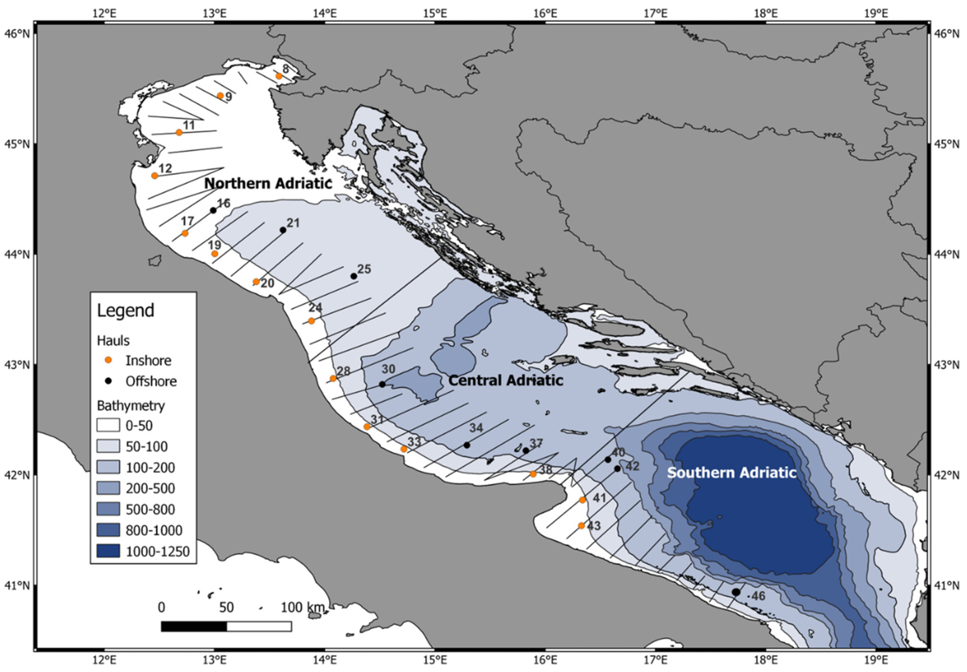 Biology 12 00272 g001