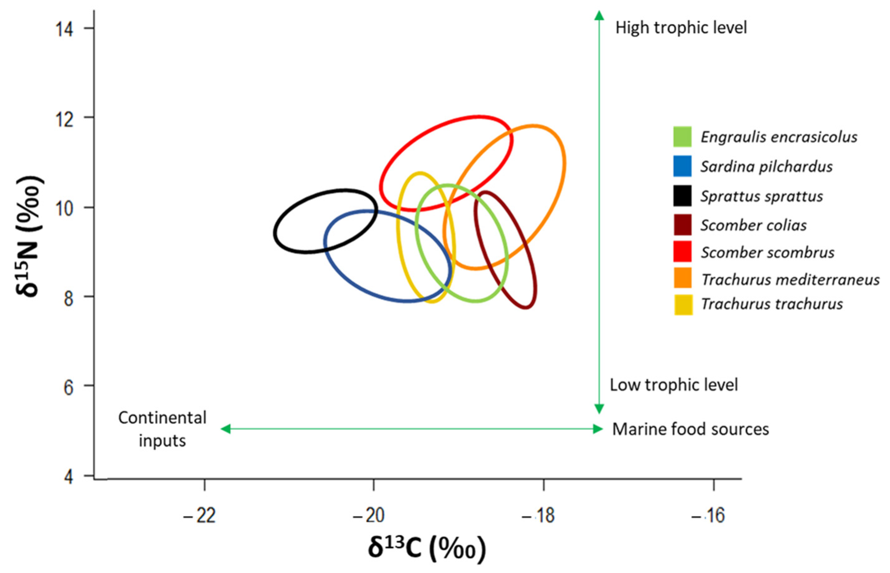 Biology 12 00272 g007