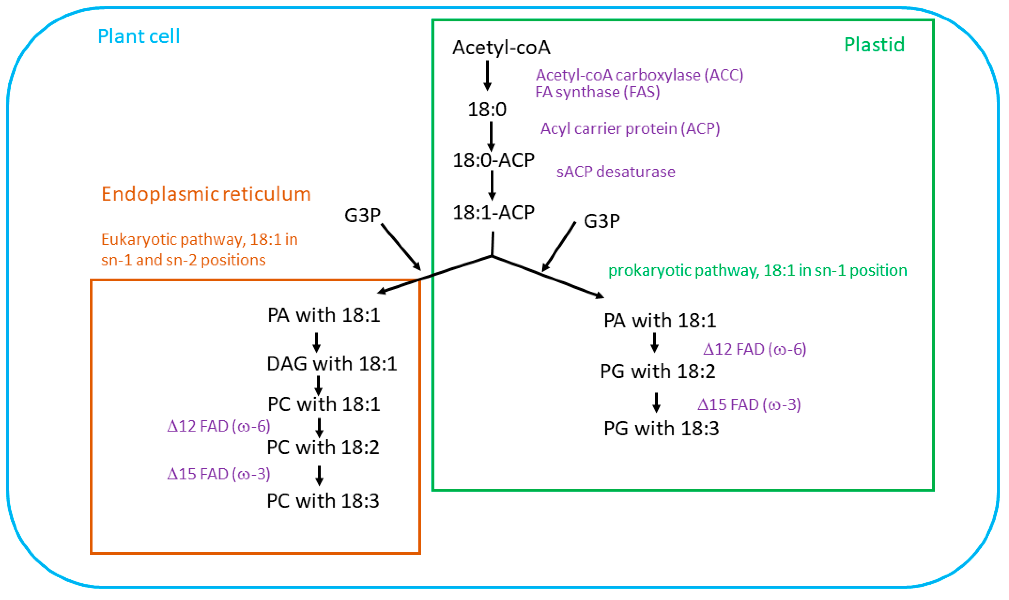 Biology 12 00279 g002