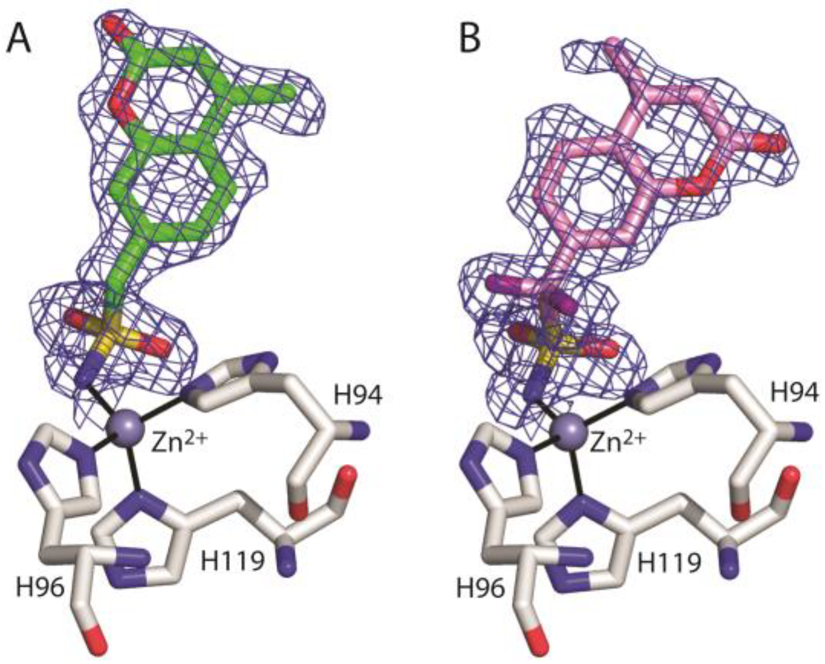 Biology 12 00281 g003