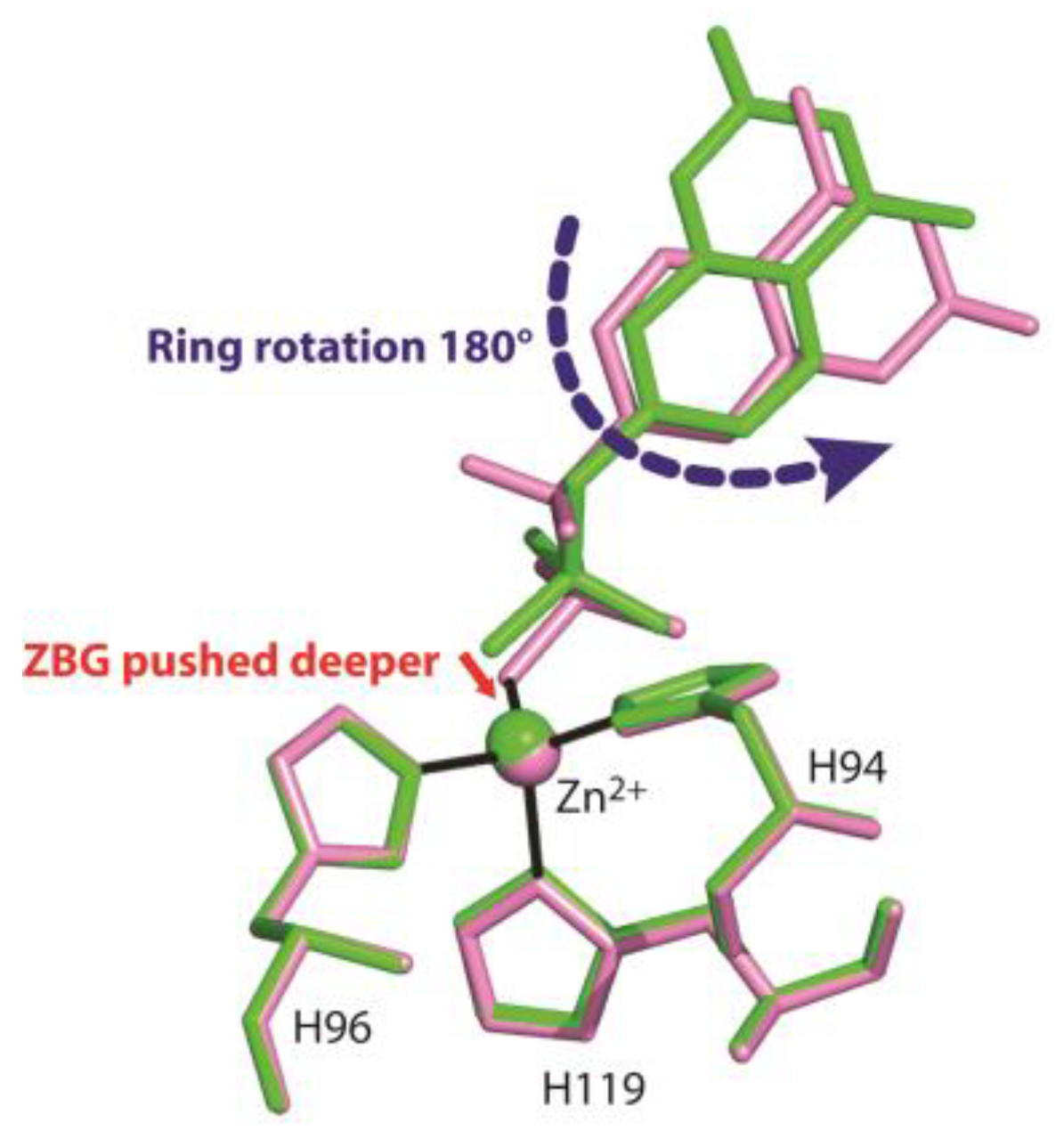Biology 12 00281 g005