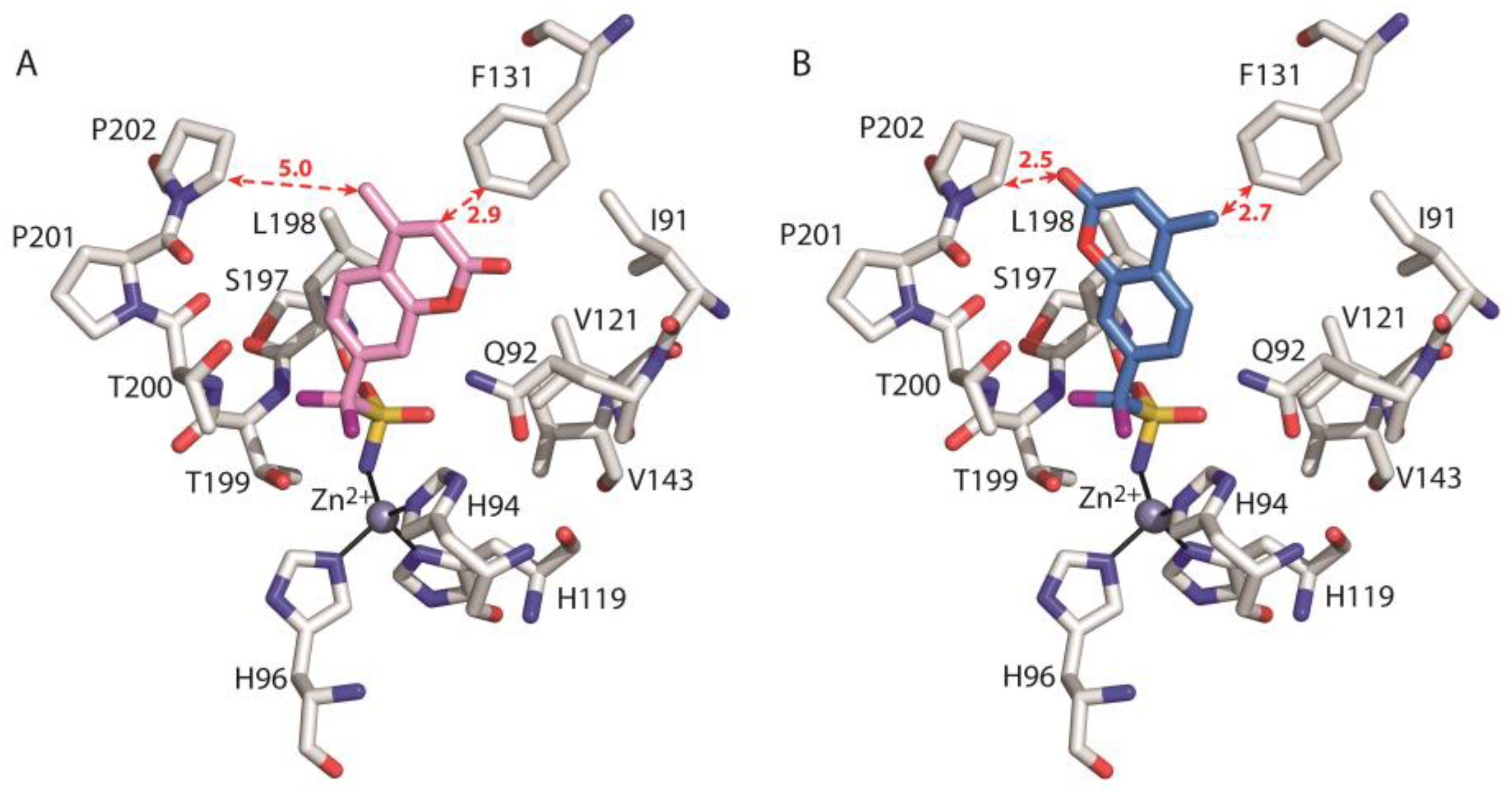 Biology 12 00281 g007