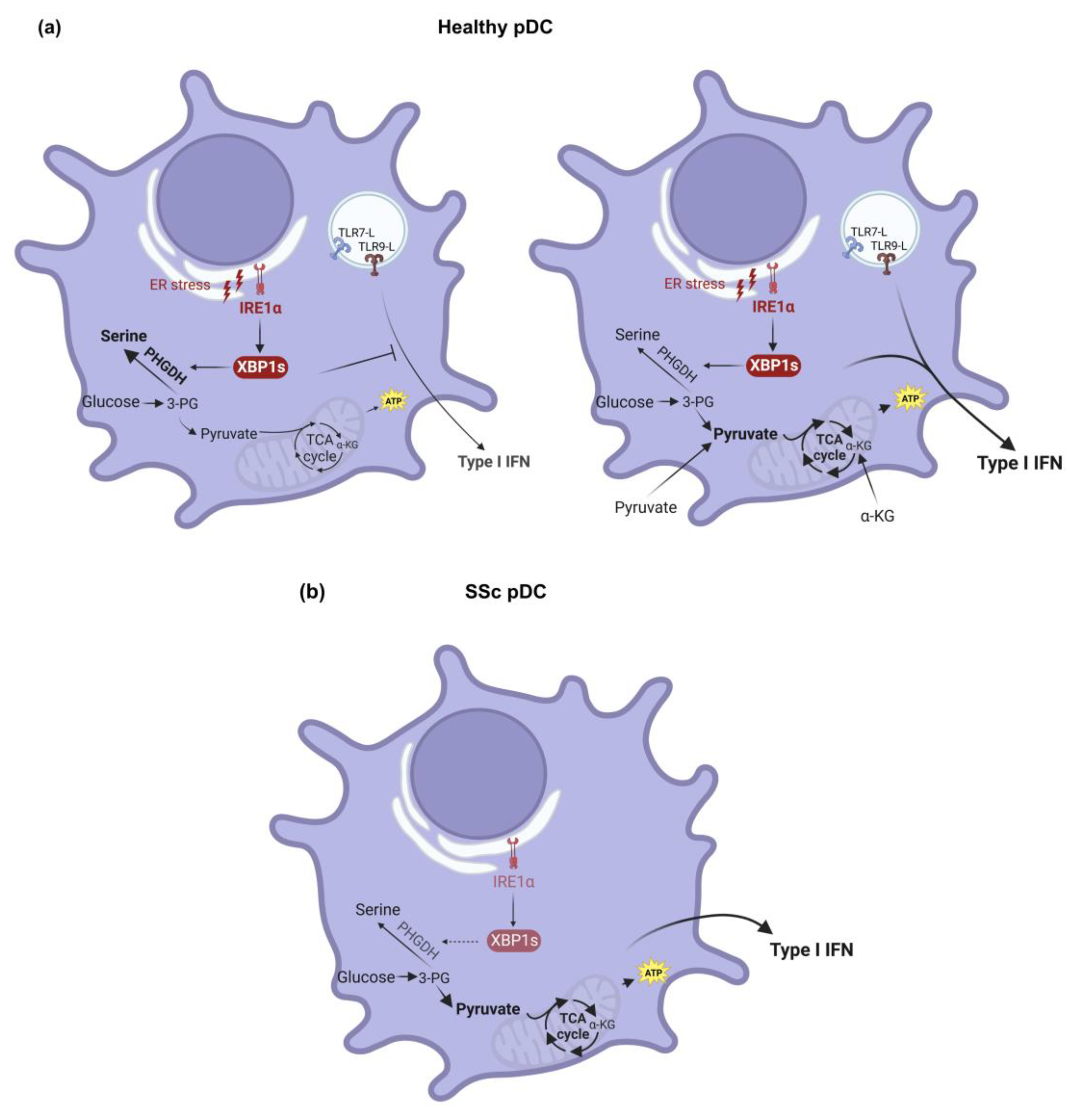 Biology 12 00285 g002