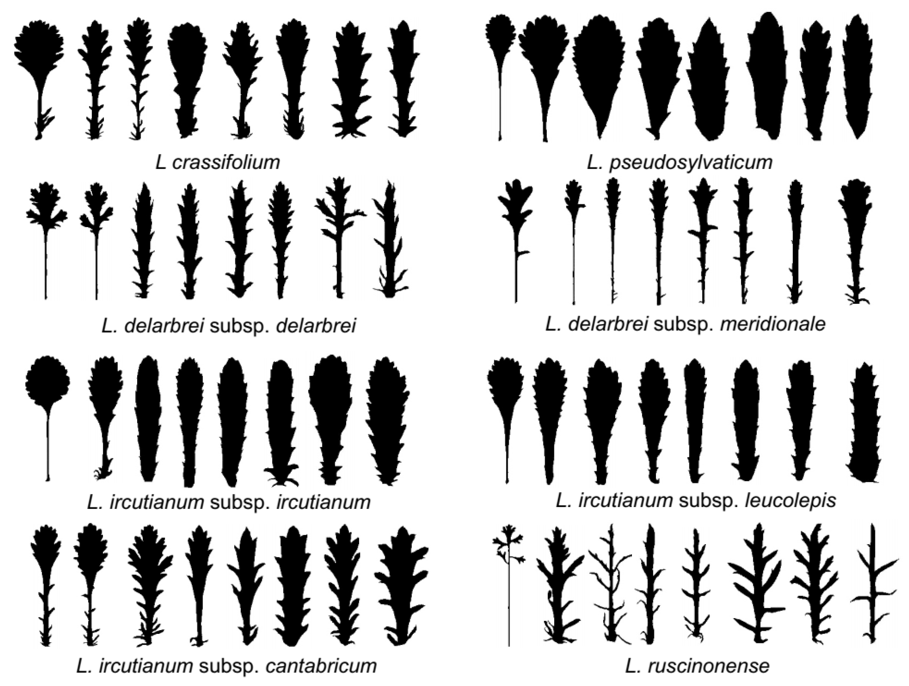Biology 12 00288 g005