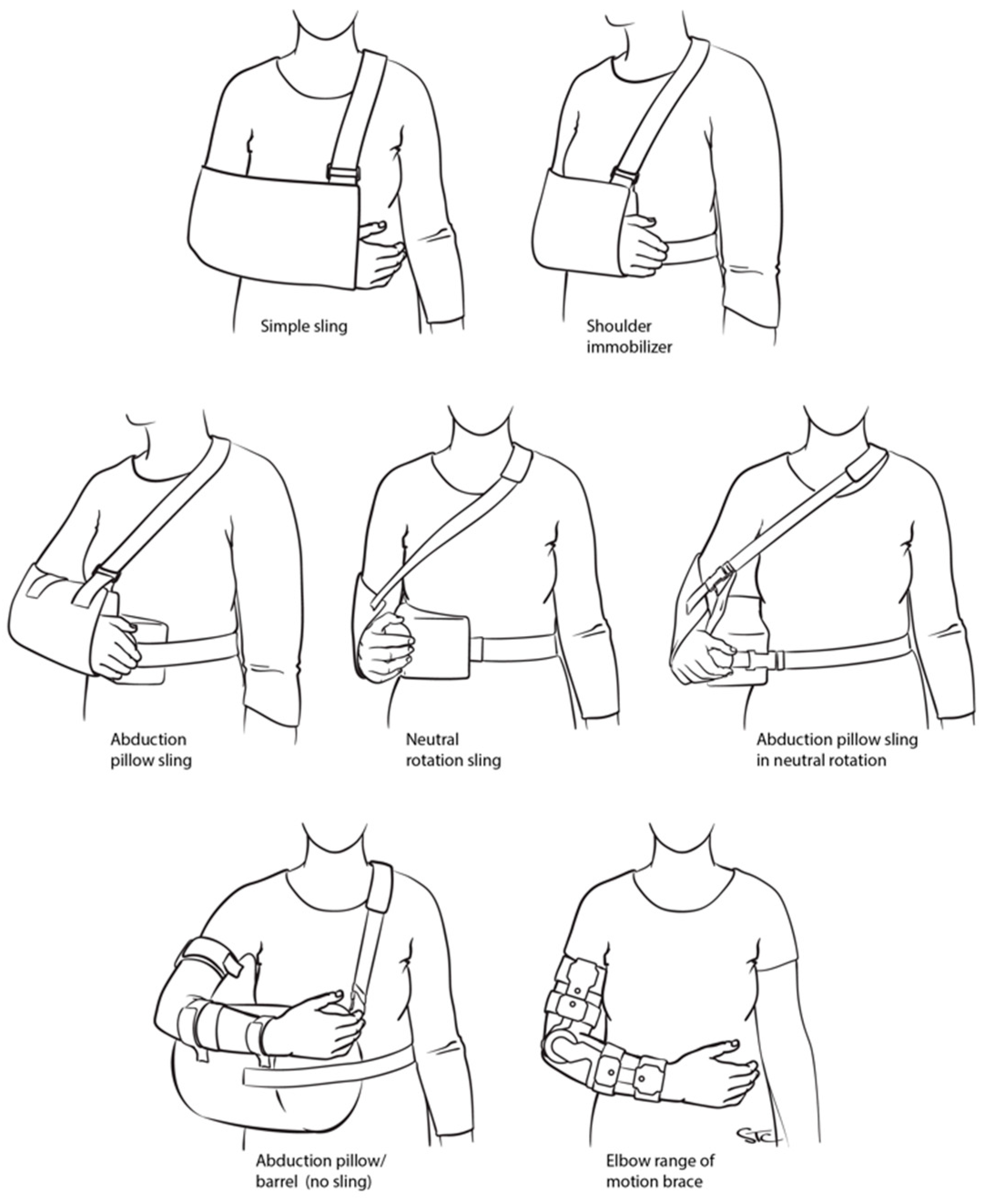 Biology 12 00291 g001