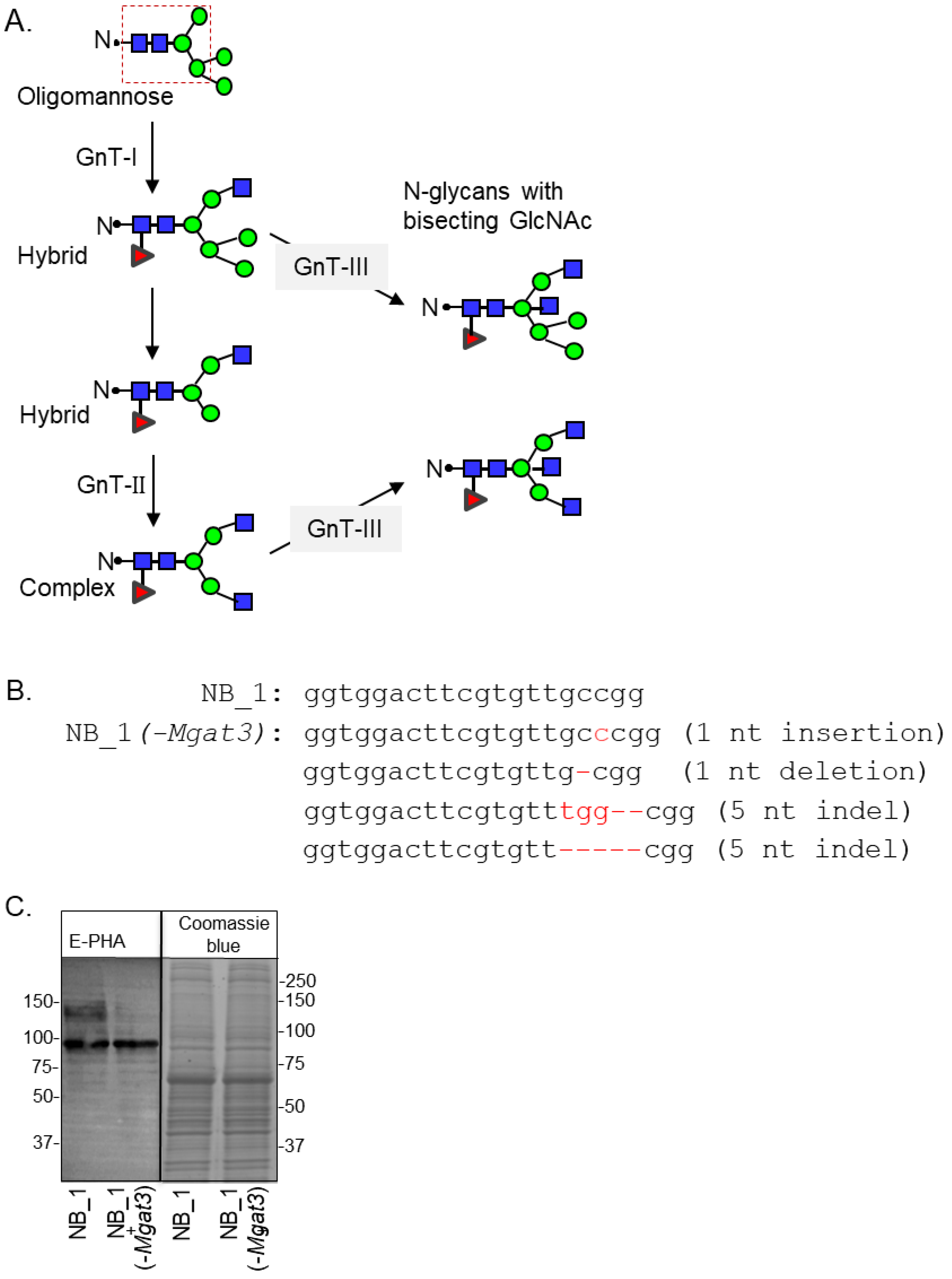 Biology 12 00293 g001