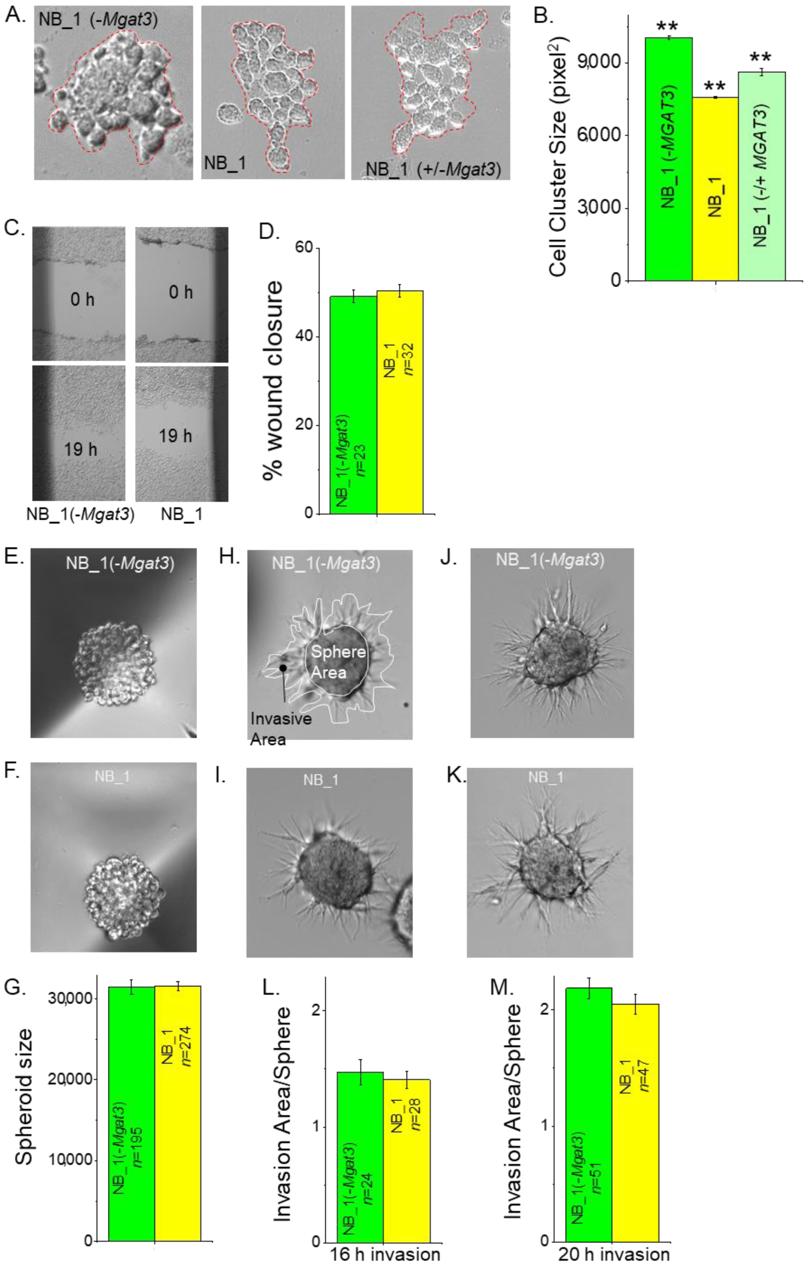 Biology 12 00293 g003