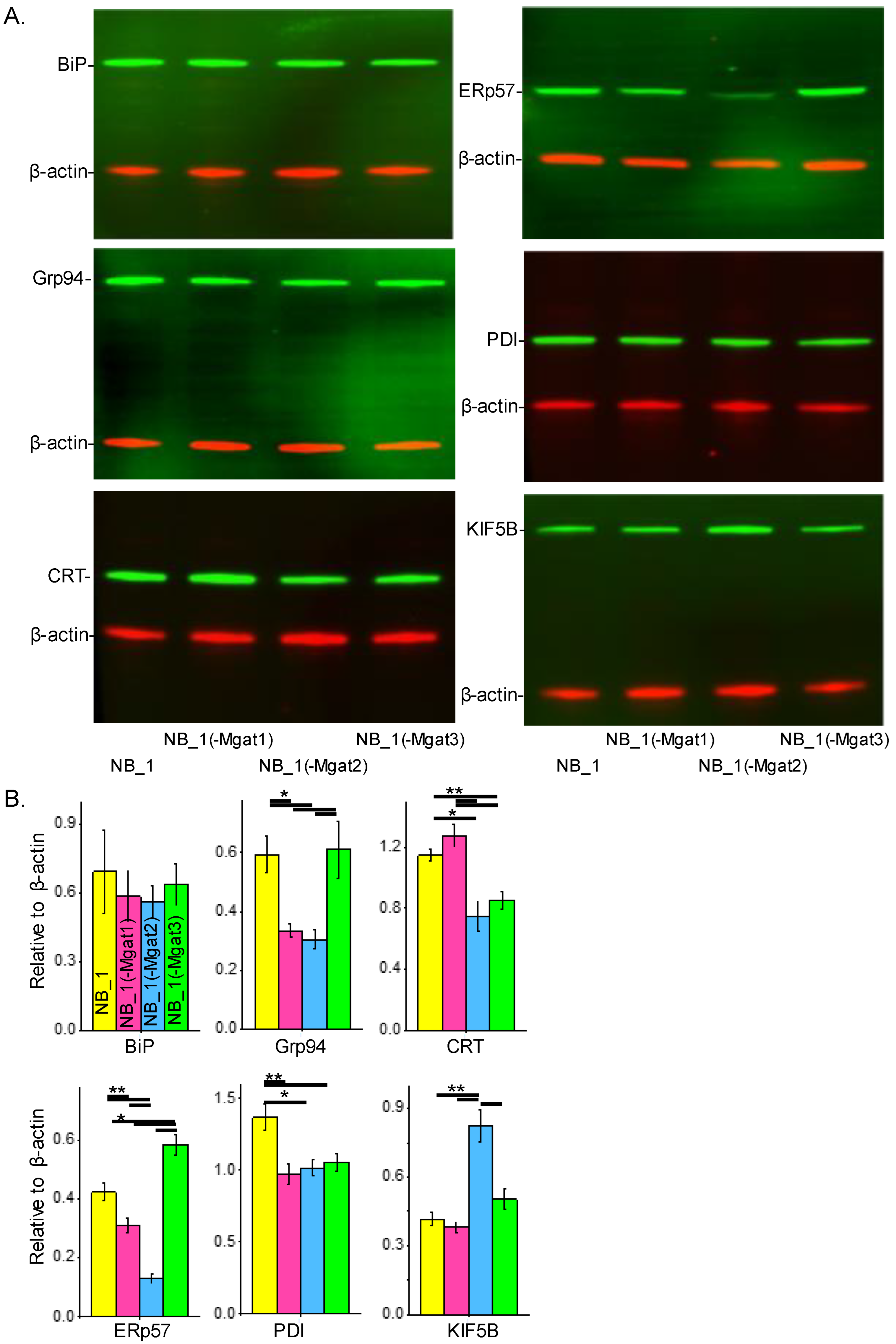 Biology 12 00293 g006