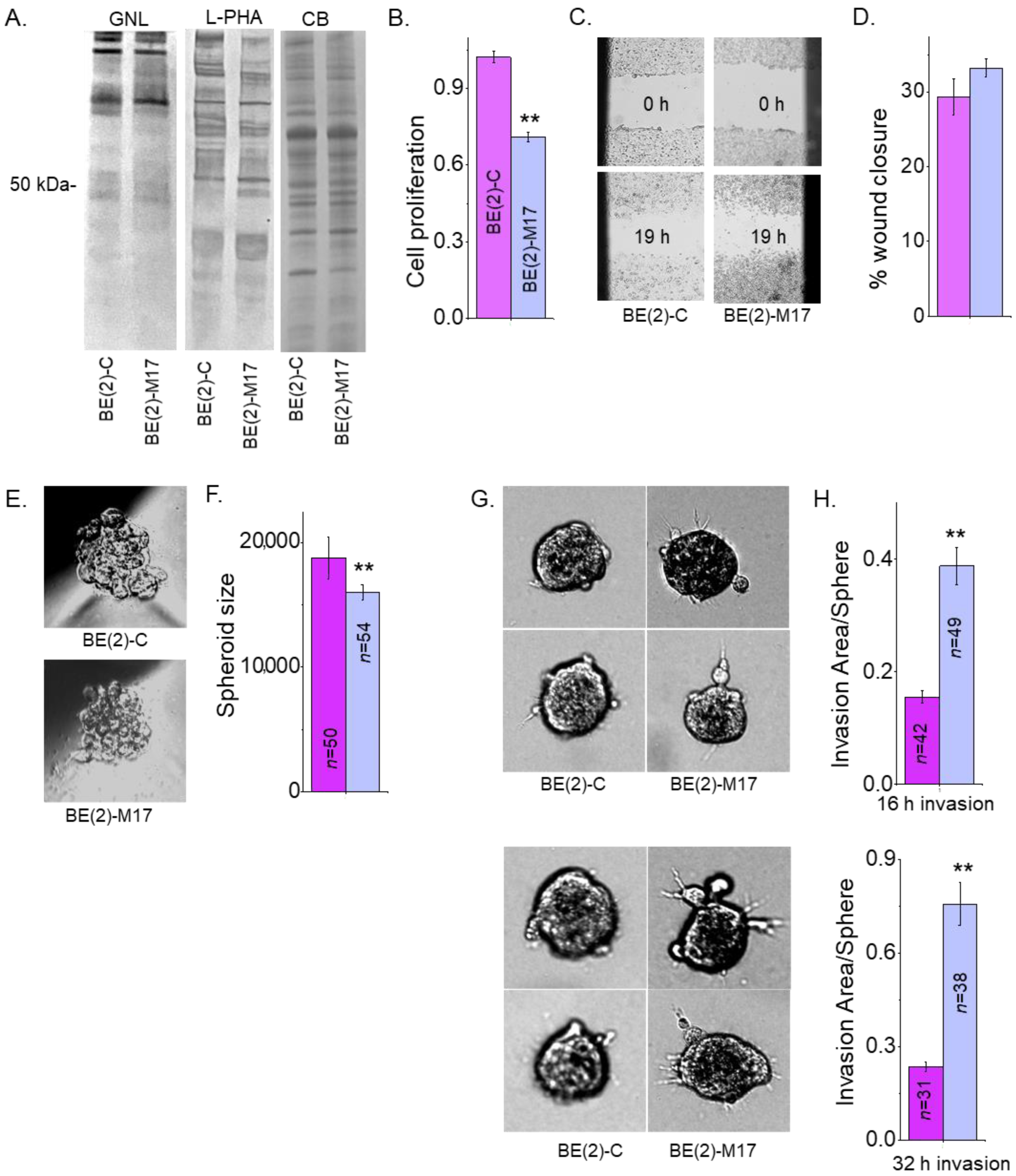 Biology 12 00293 g007