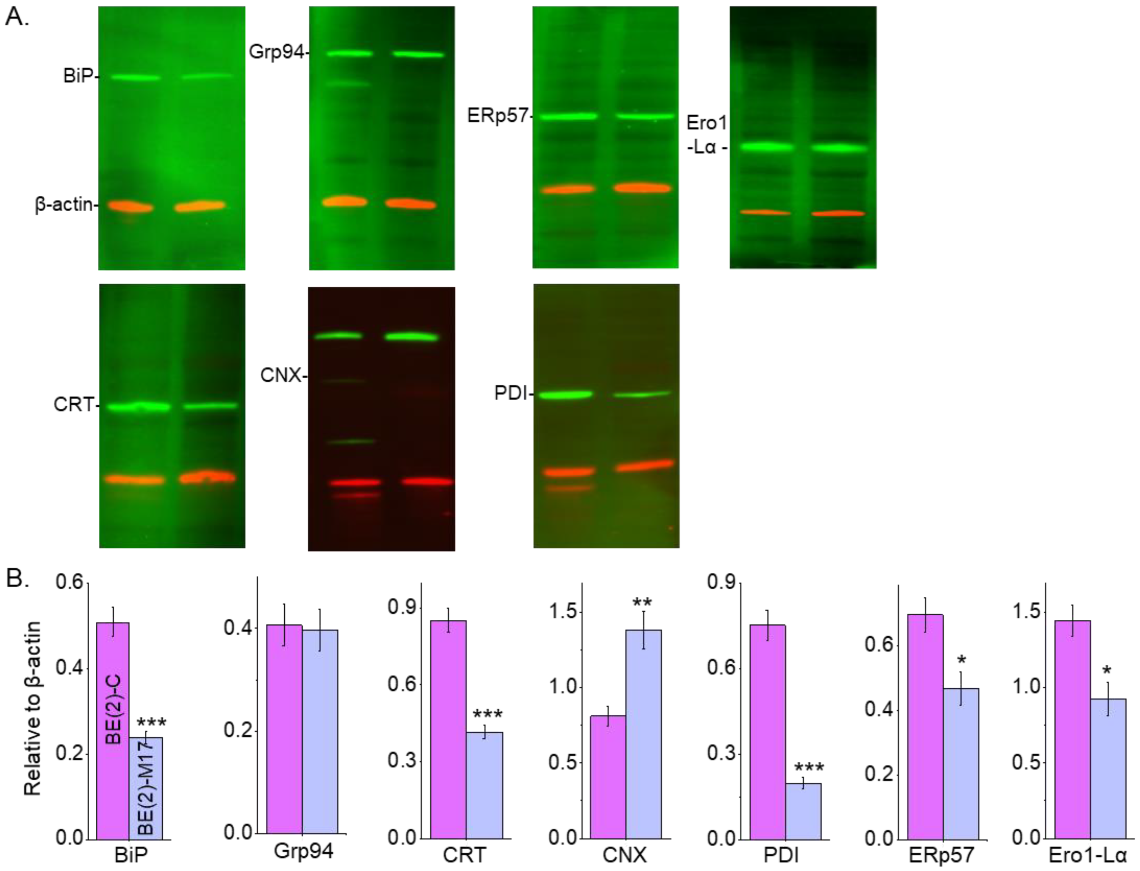 Biology 12 00293 g008