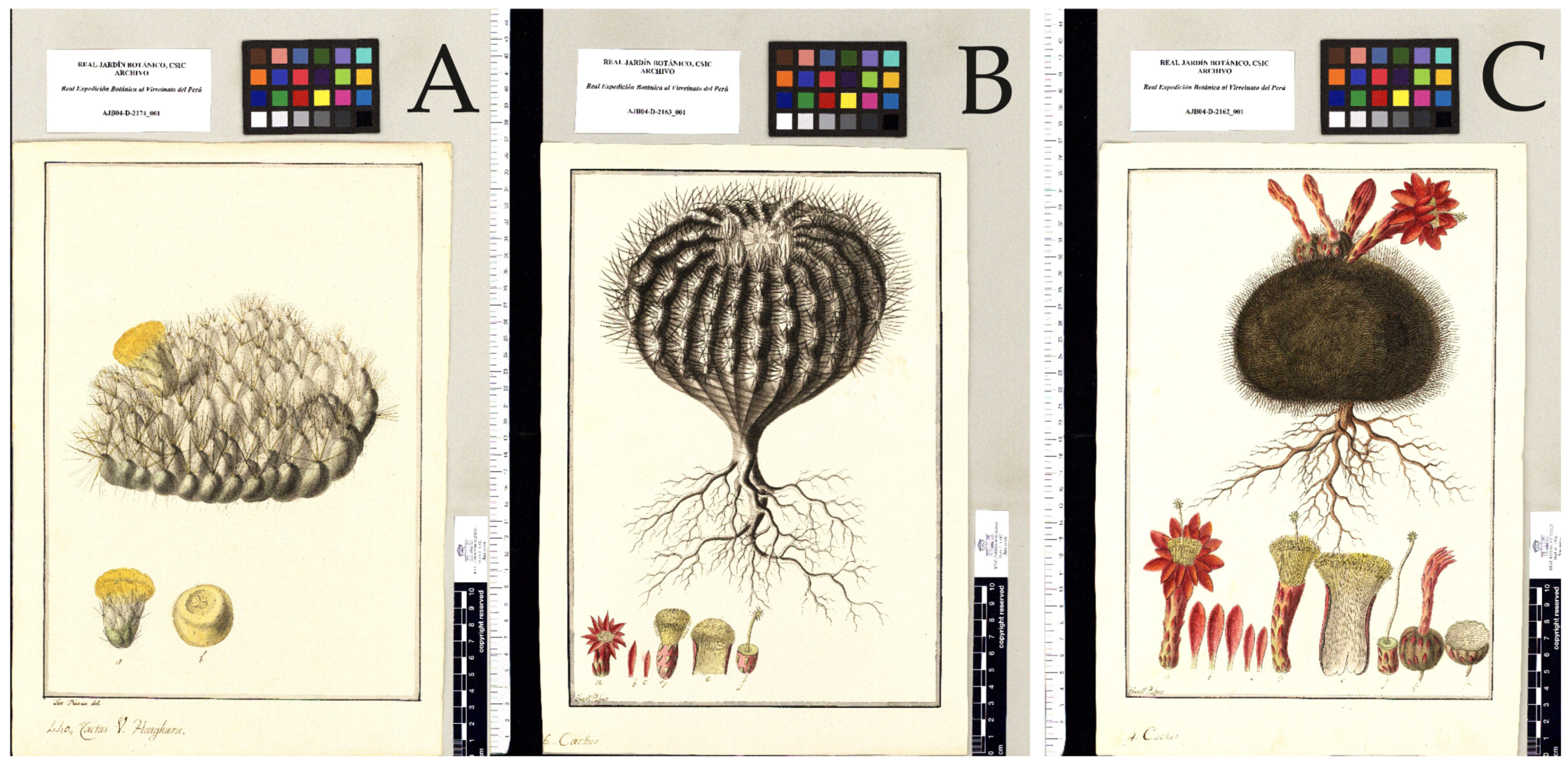 Biology 12 00294 g004