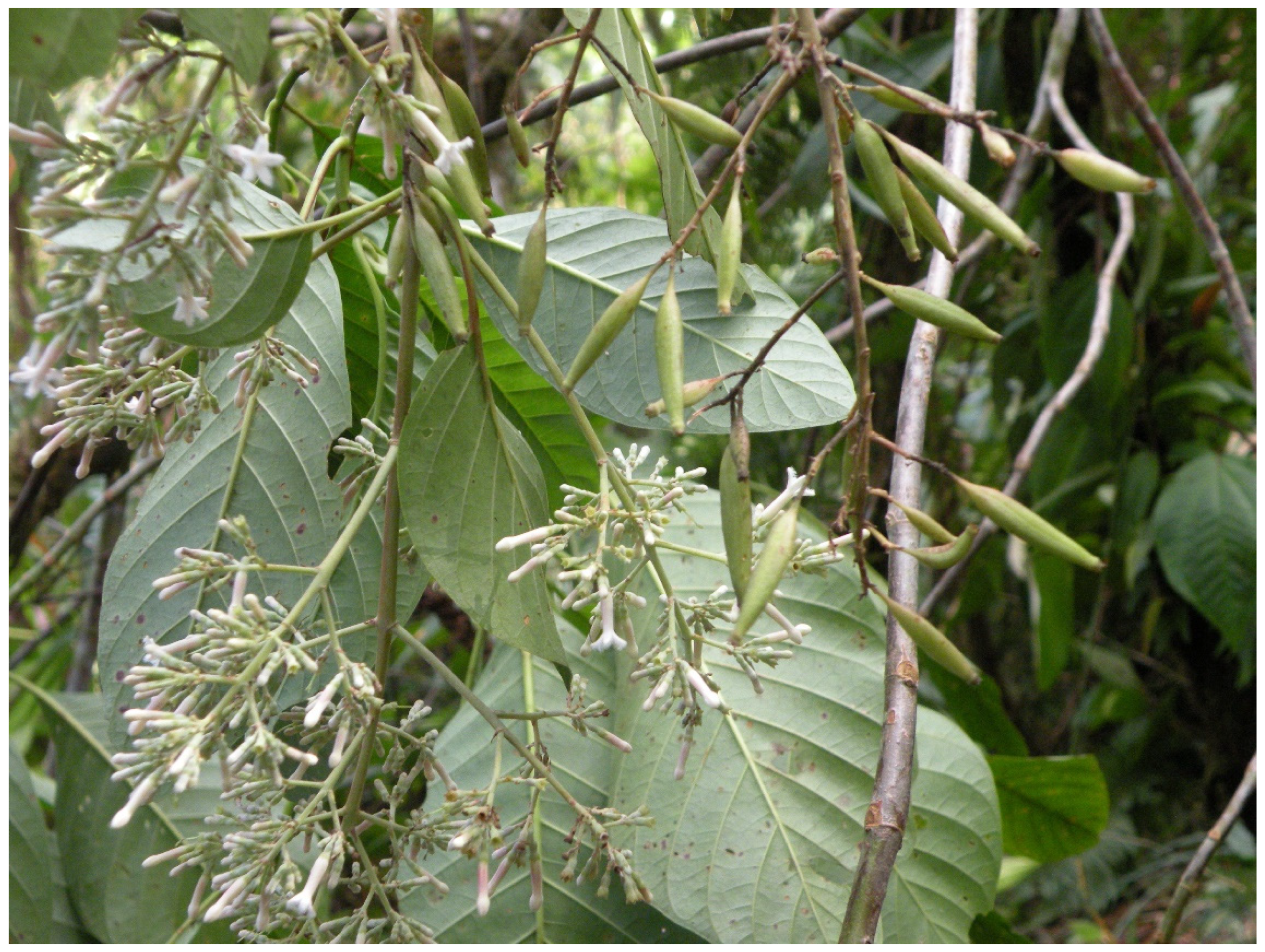 Biology 12 00294 g008