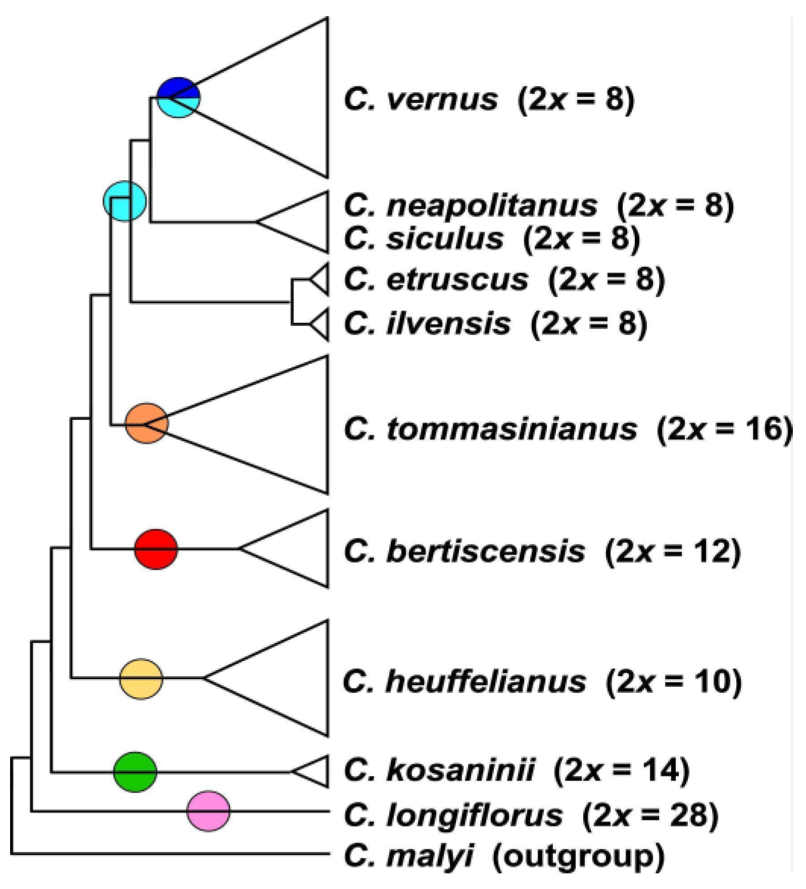 Biology 12 00303 g002 Biology 12 00303 g002