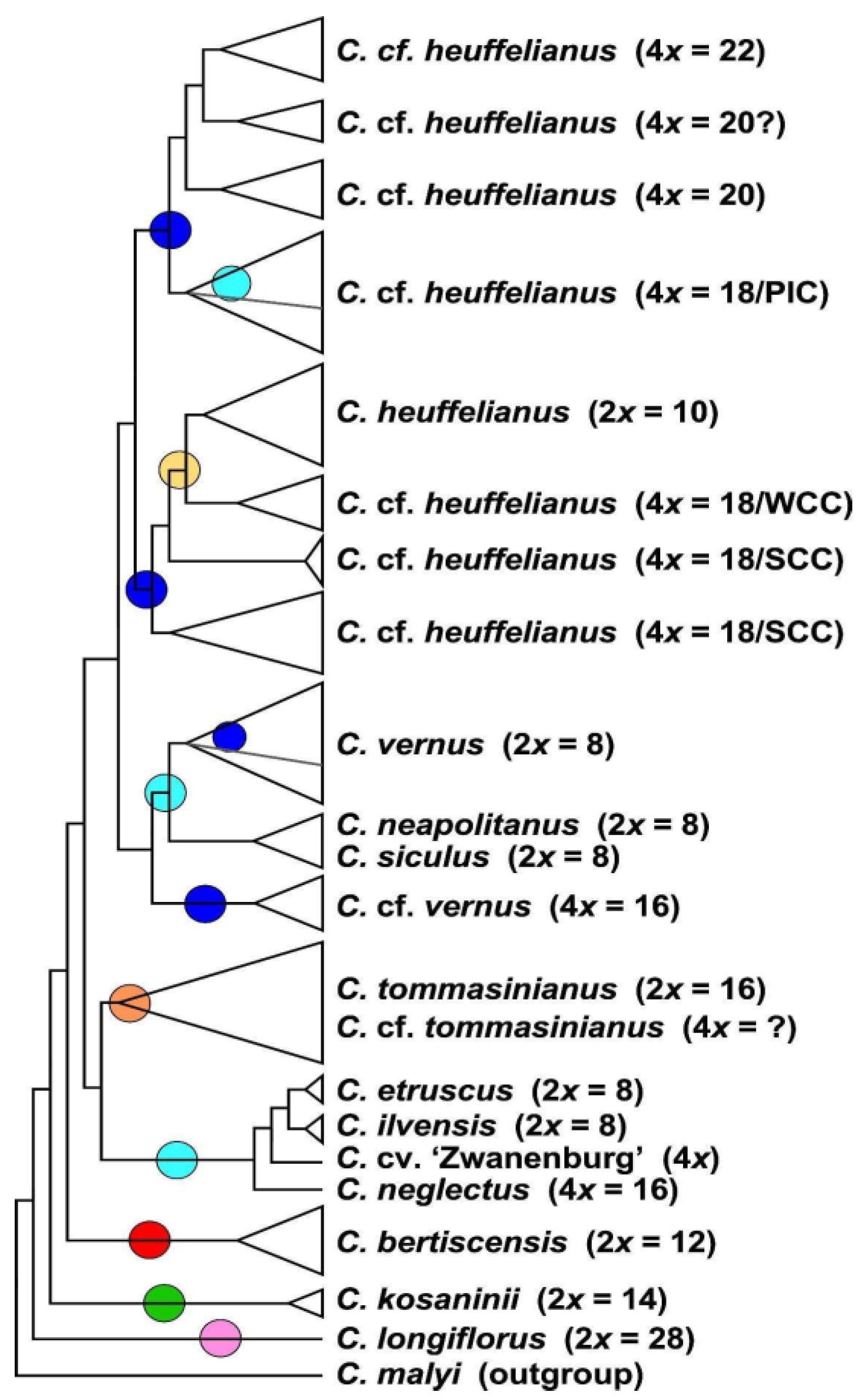 Biology 12 00303 g003 Biology 12 00303 g003