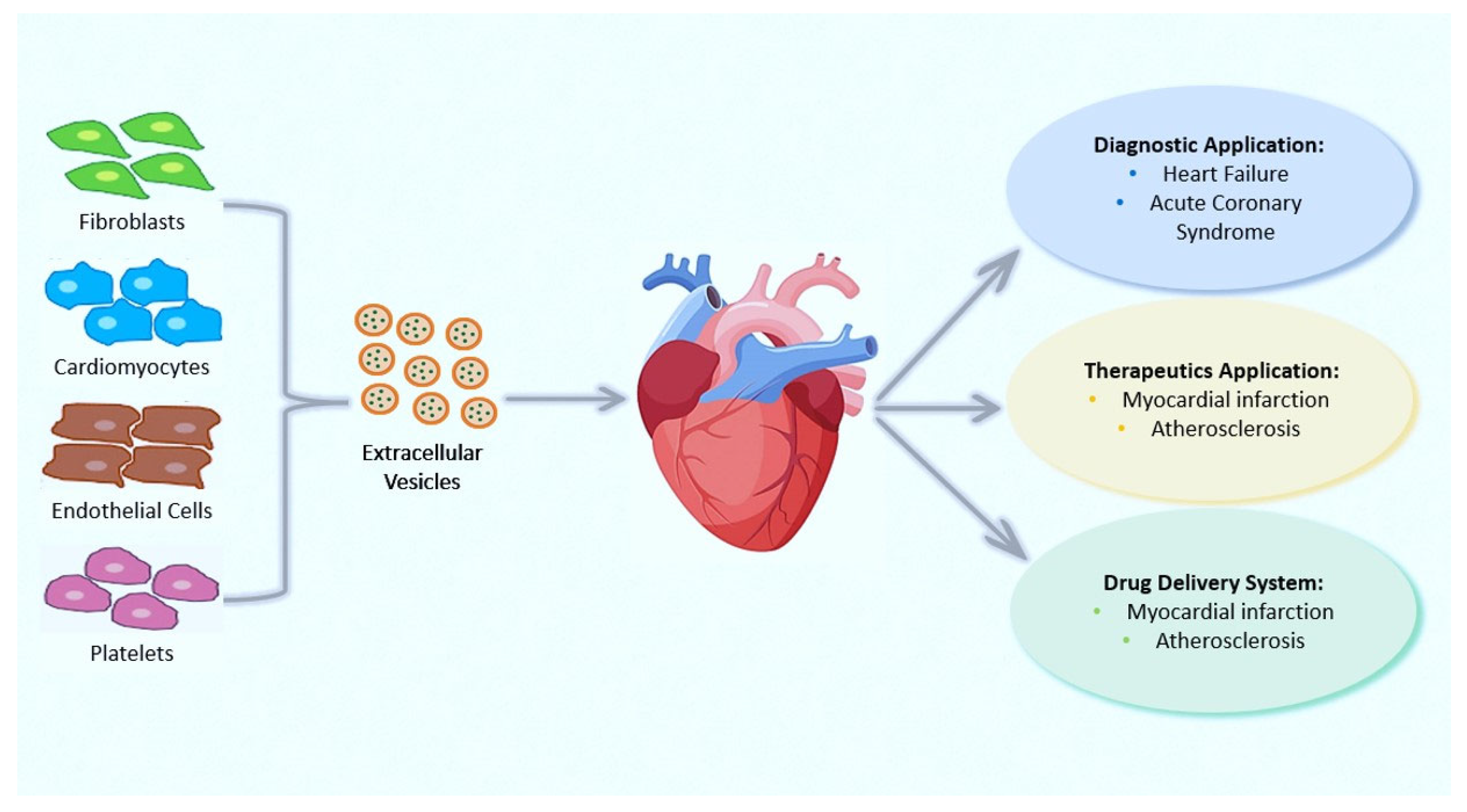 Biology 12 00308 g002